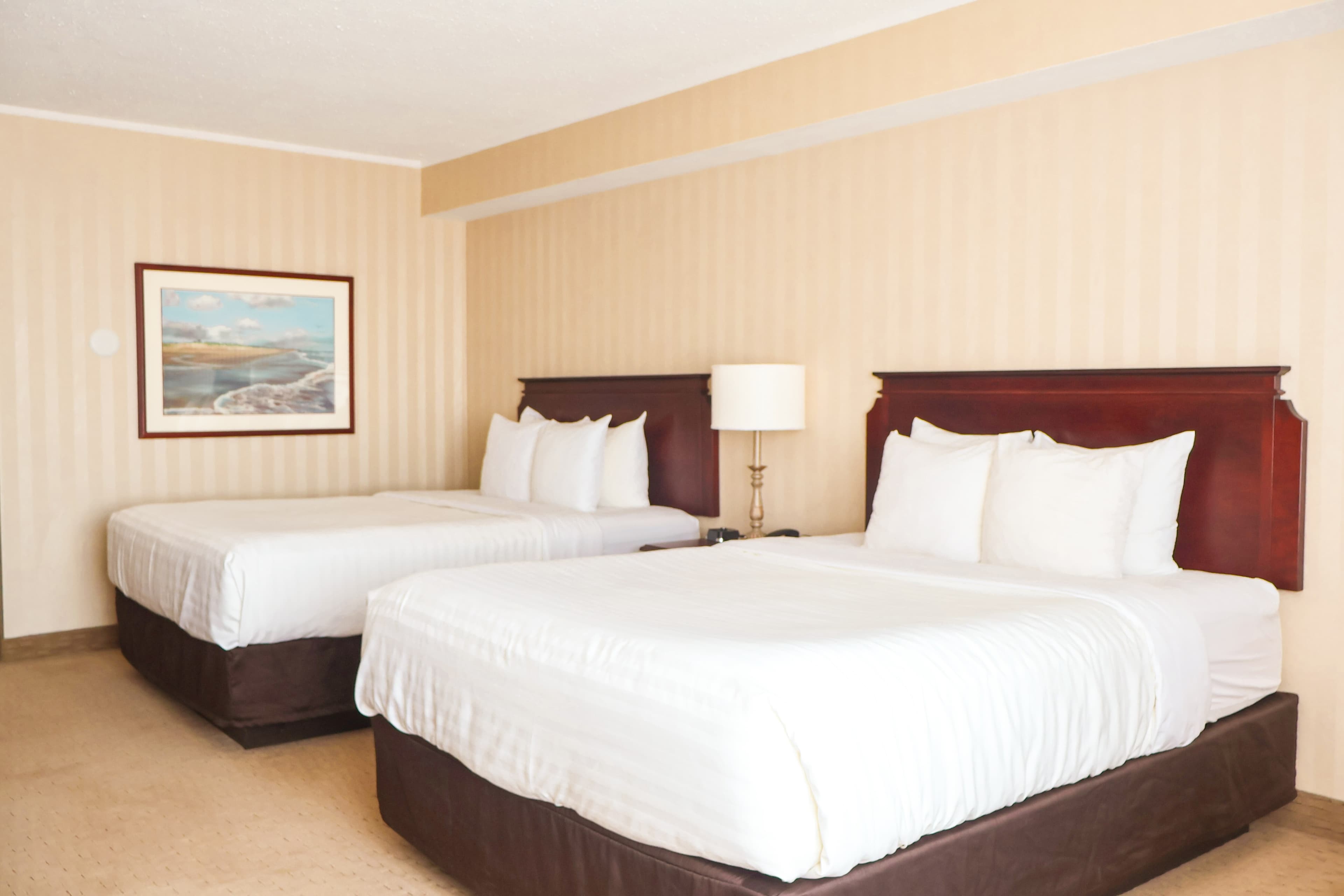 Quality Inn & Suites Downtown — 6