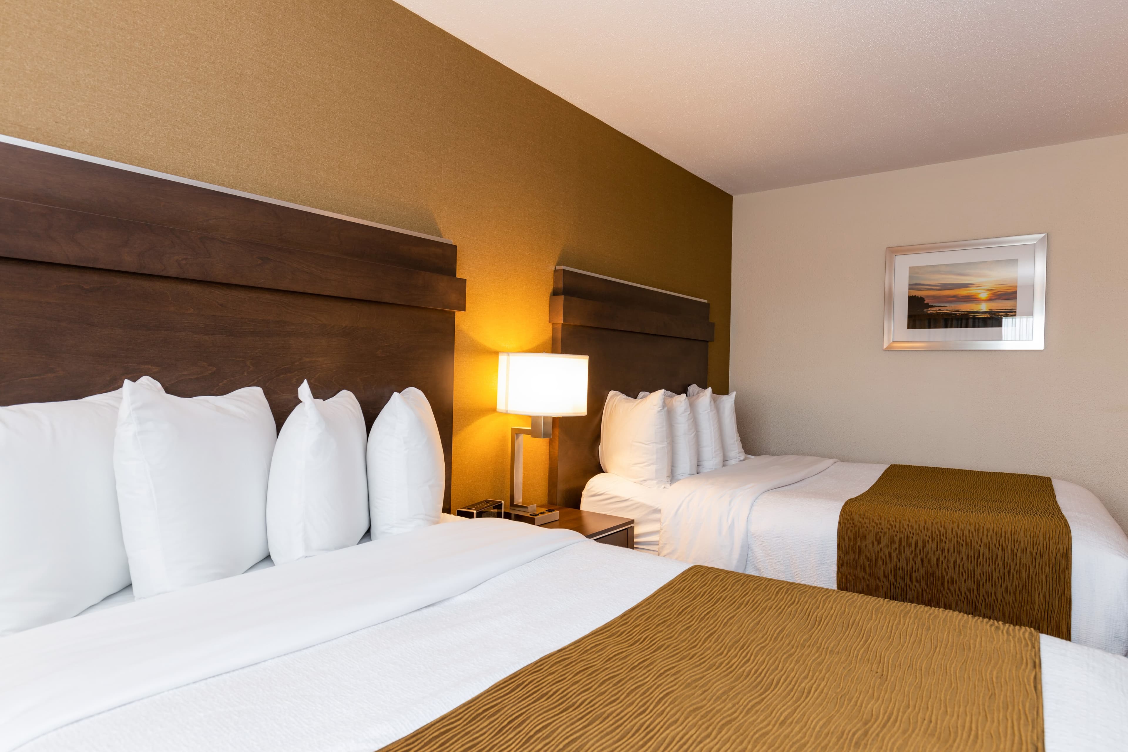 Quality Inn & Suites - Image 4