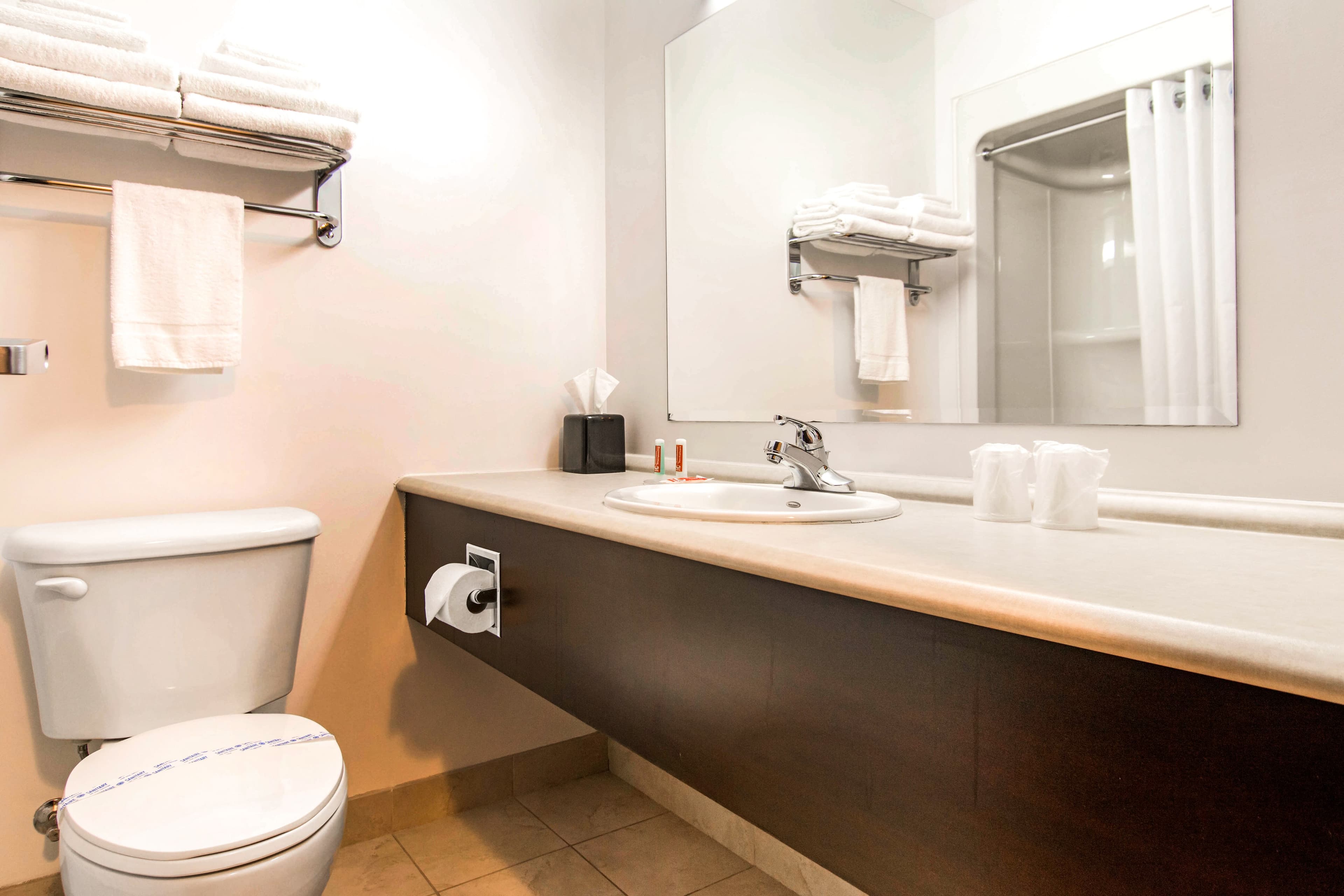 Econo Lodge Inn & Suites — 20