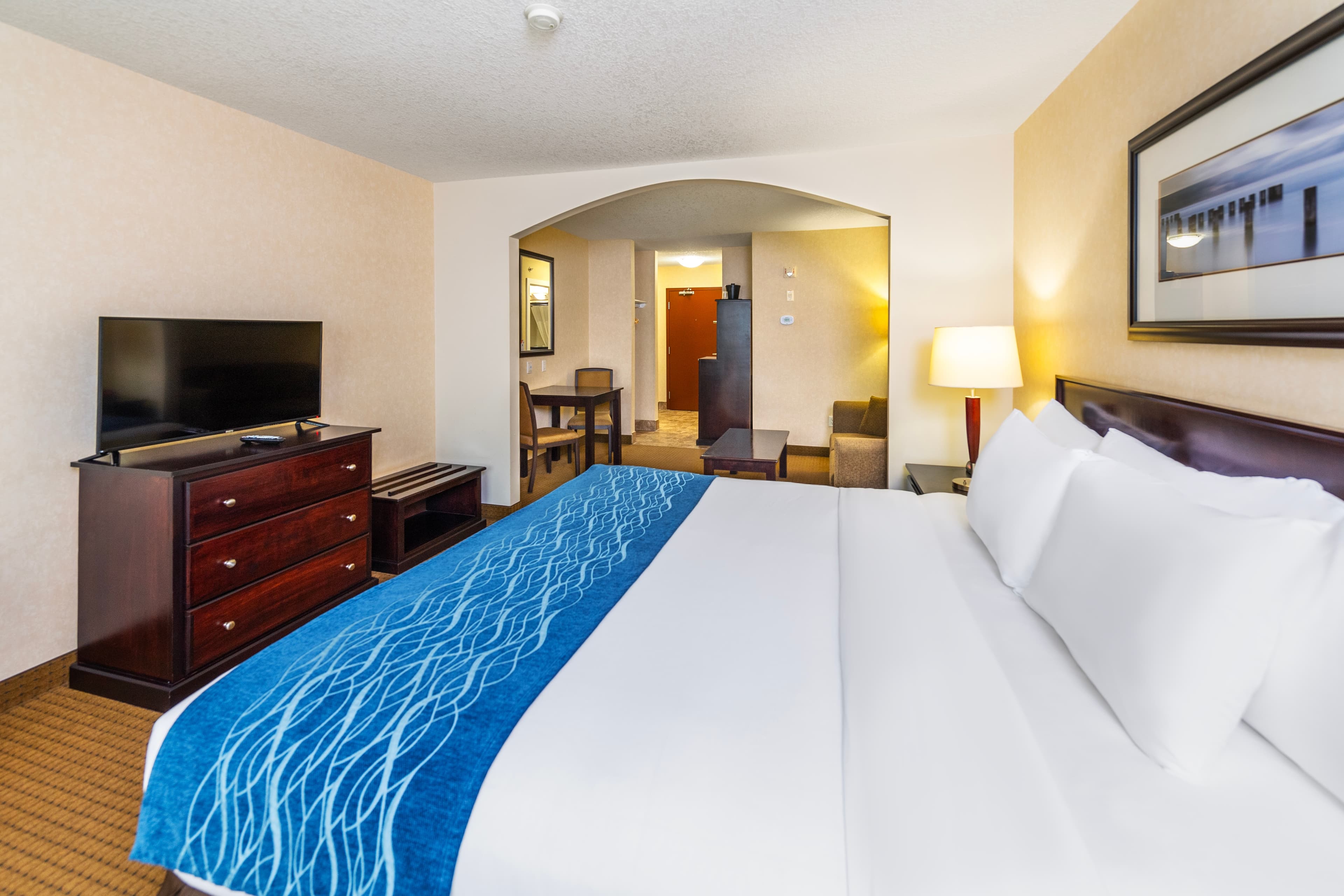 Comfort Inn & Suites — 15