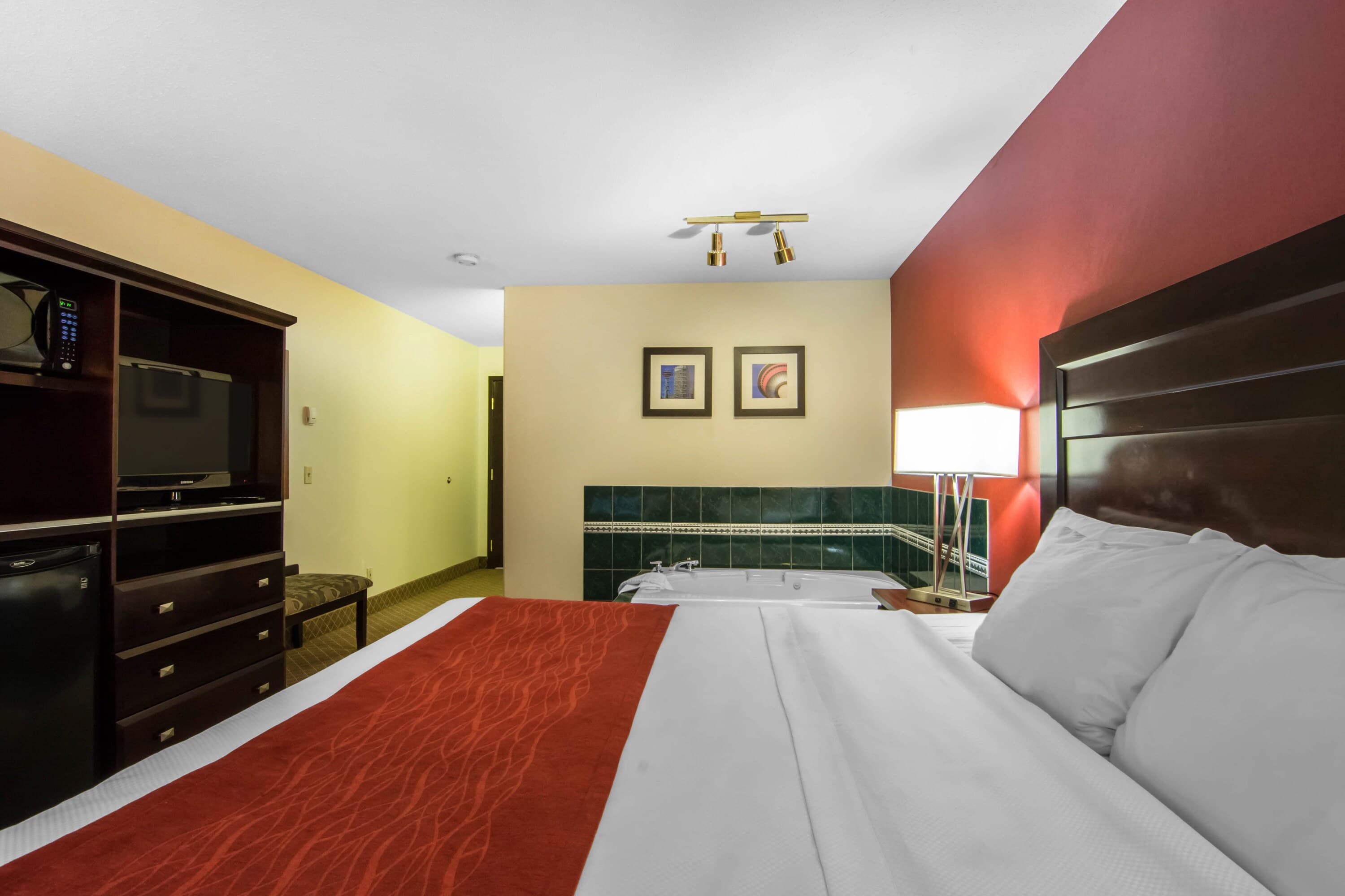 Comfort Inn & Suites Airport South - Image 5