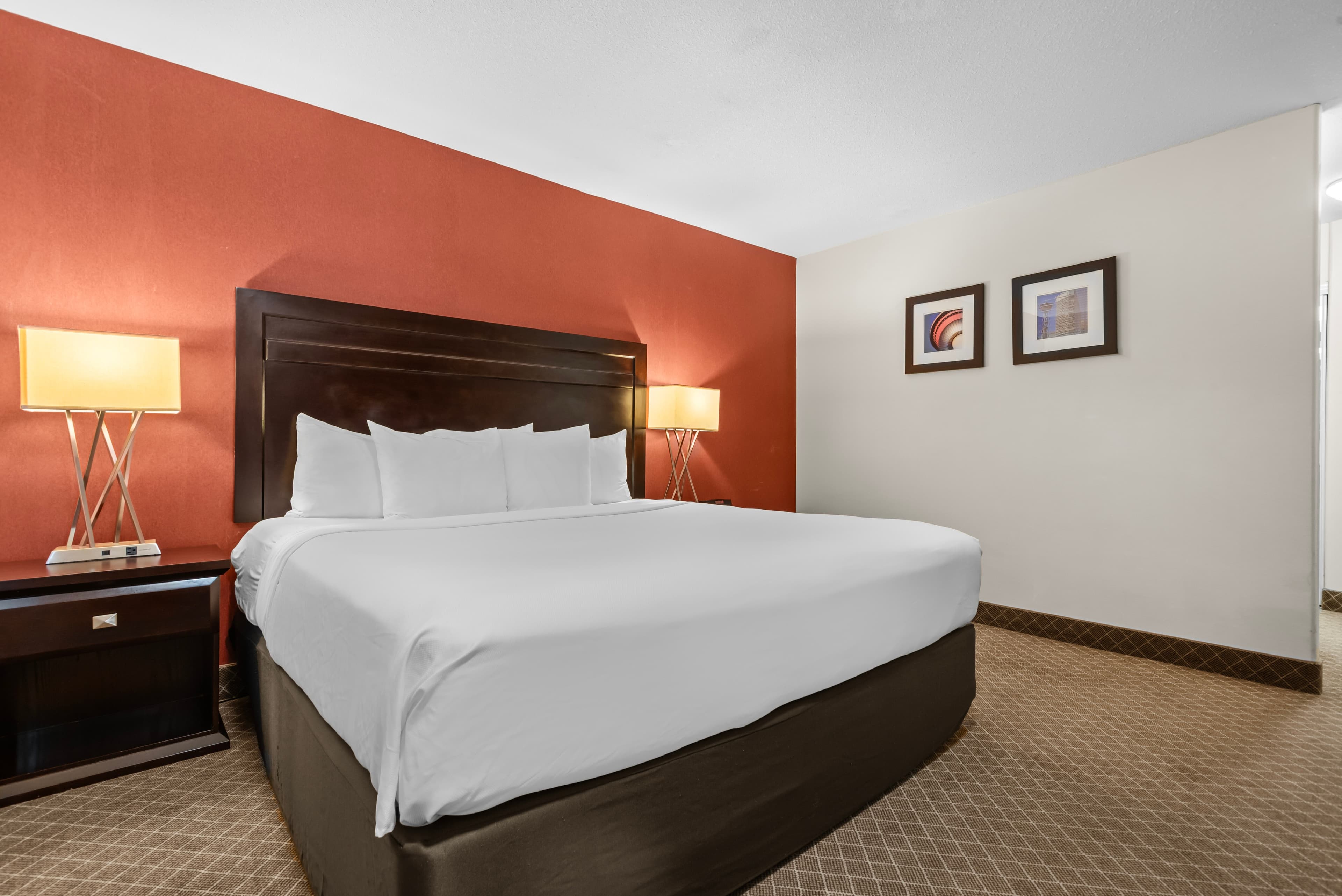 Comfort Inn & Suites Airport South — 8