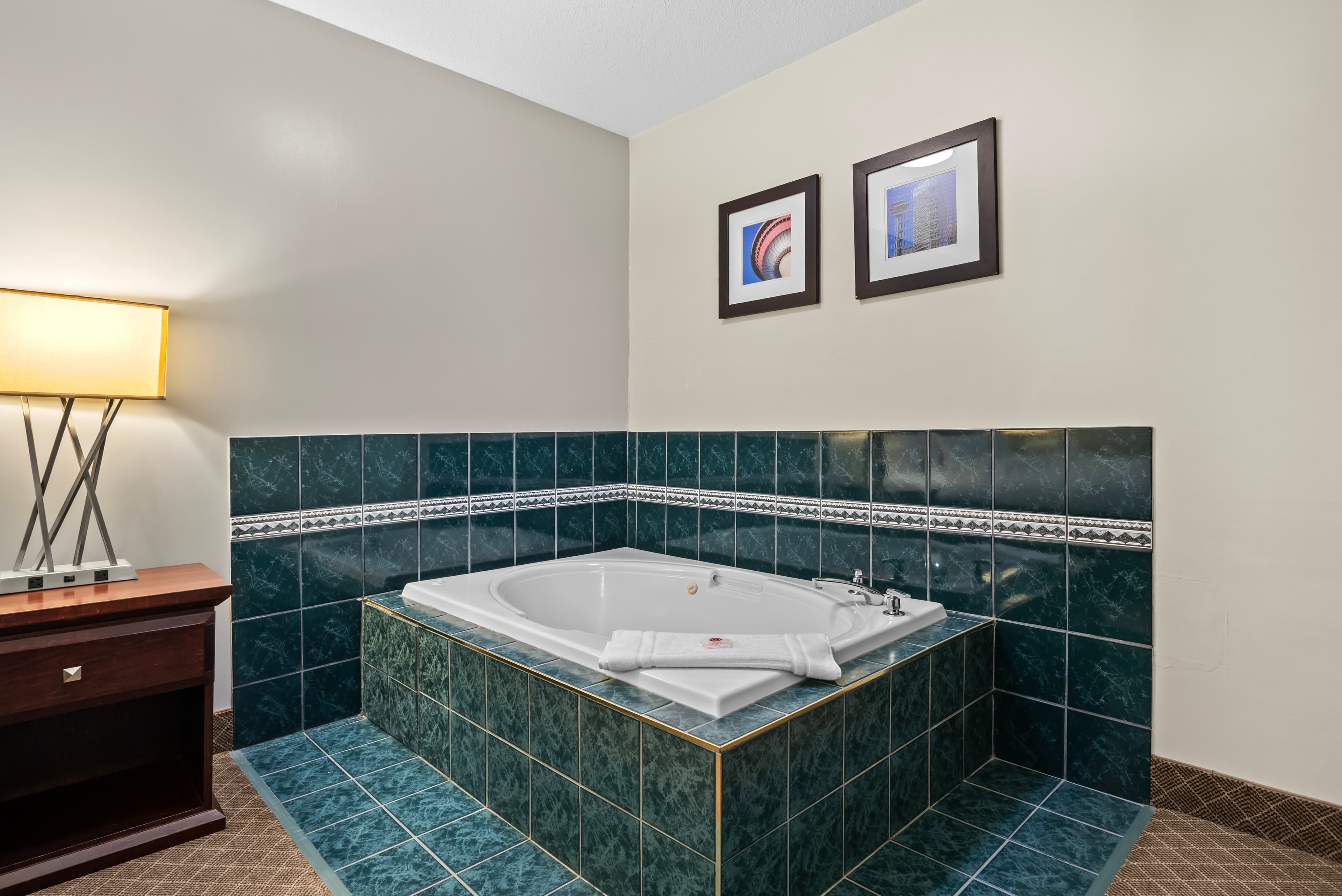 Comfort Inn & Suites Airport South — 11