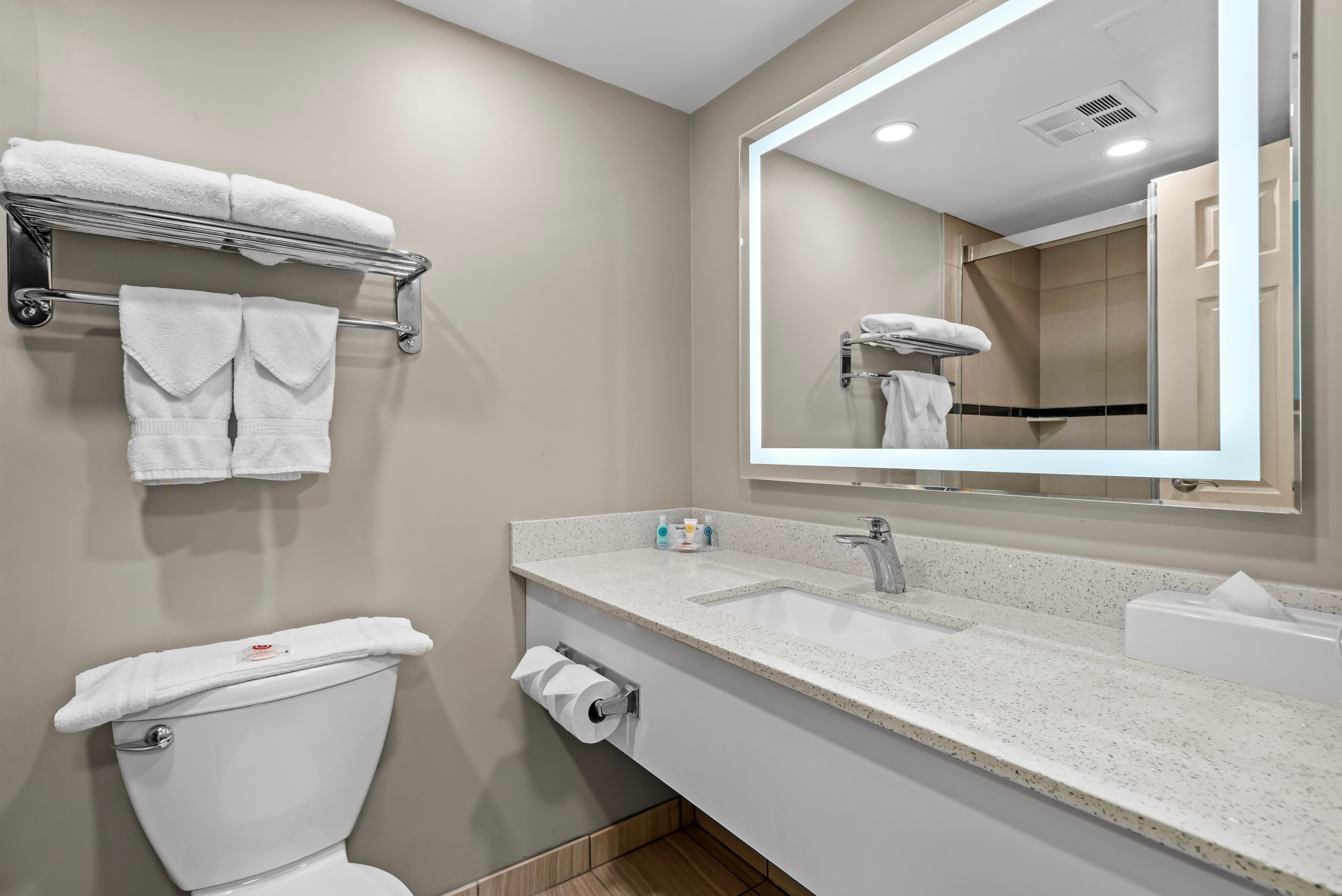 Comfort Inn & Suites Airport South — 13