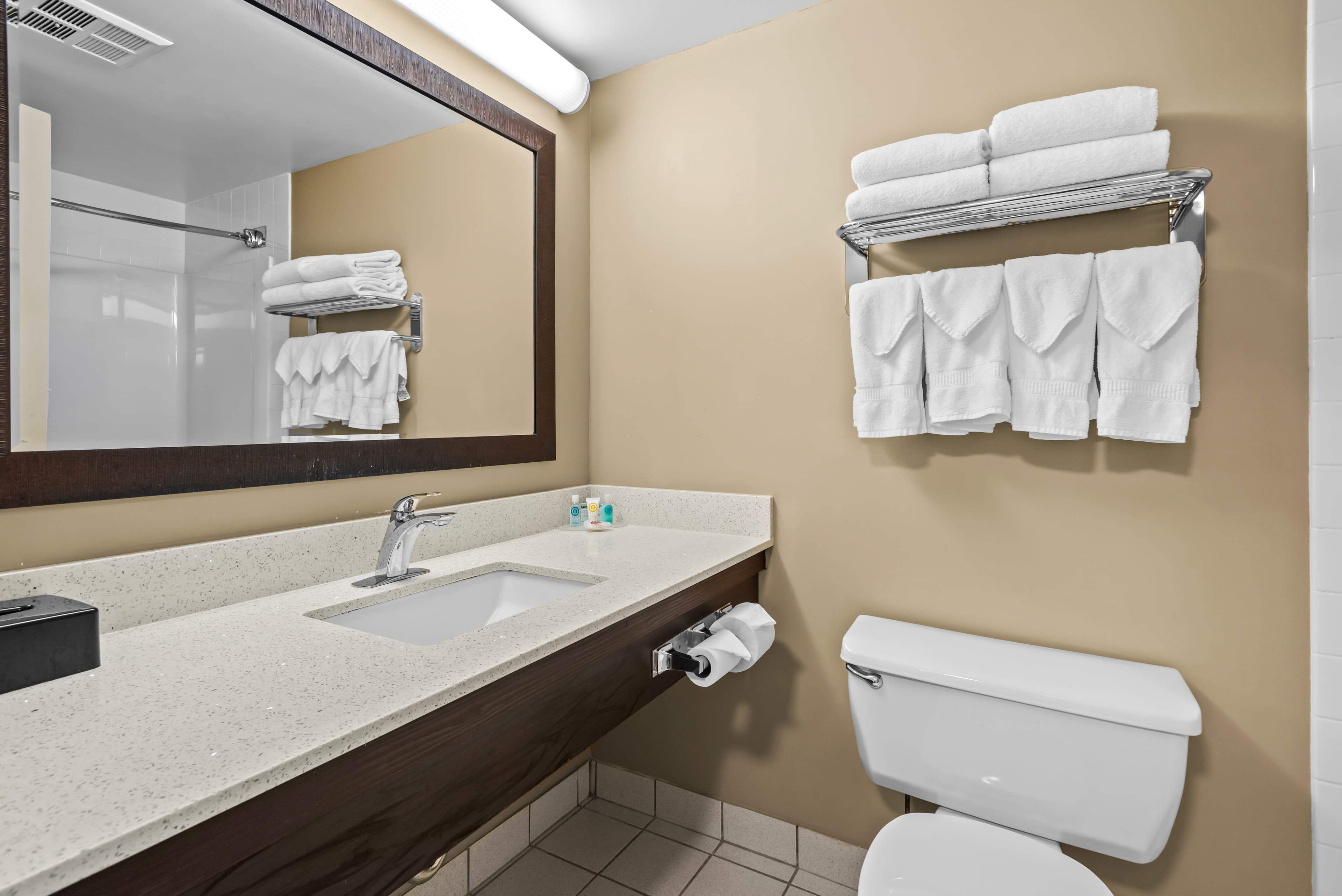 Comfort Inn & Suites Airport South — 21