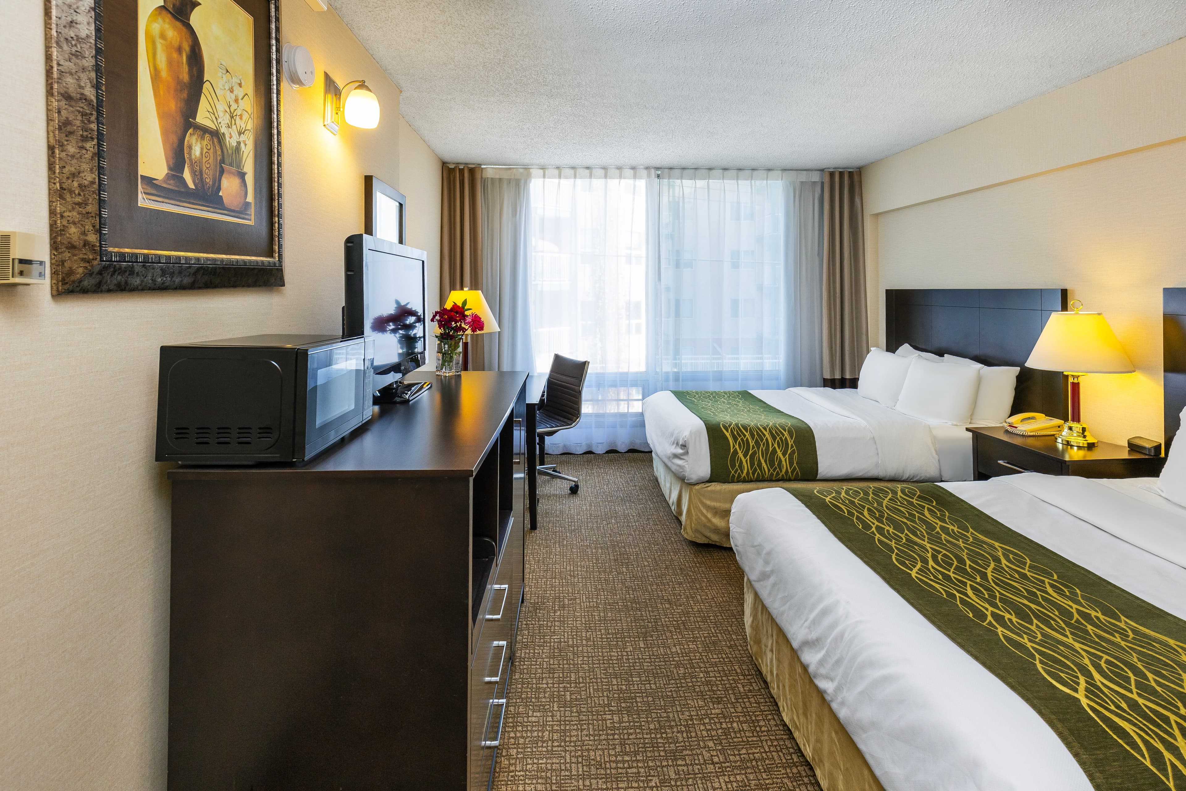 Comfort Inn & Suites - Image 2