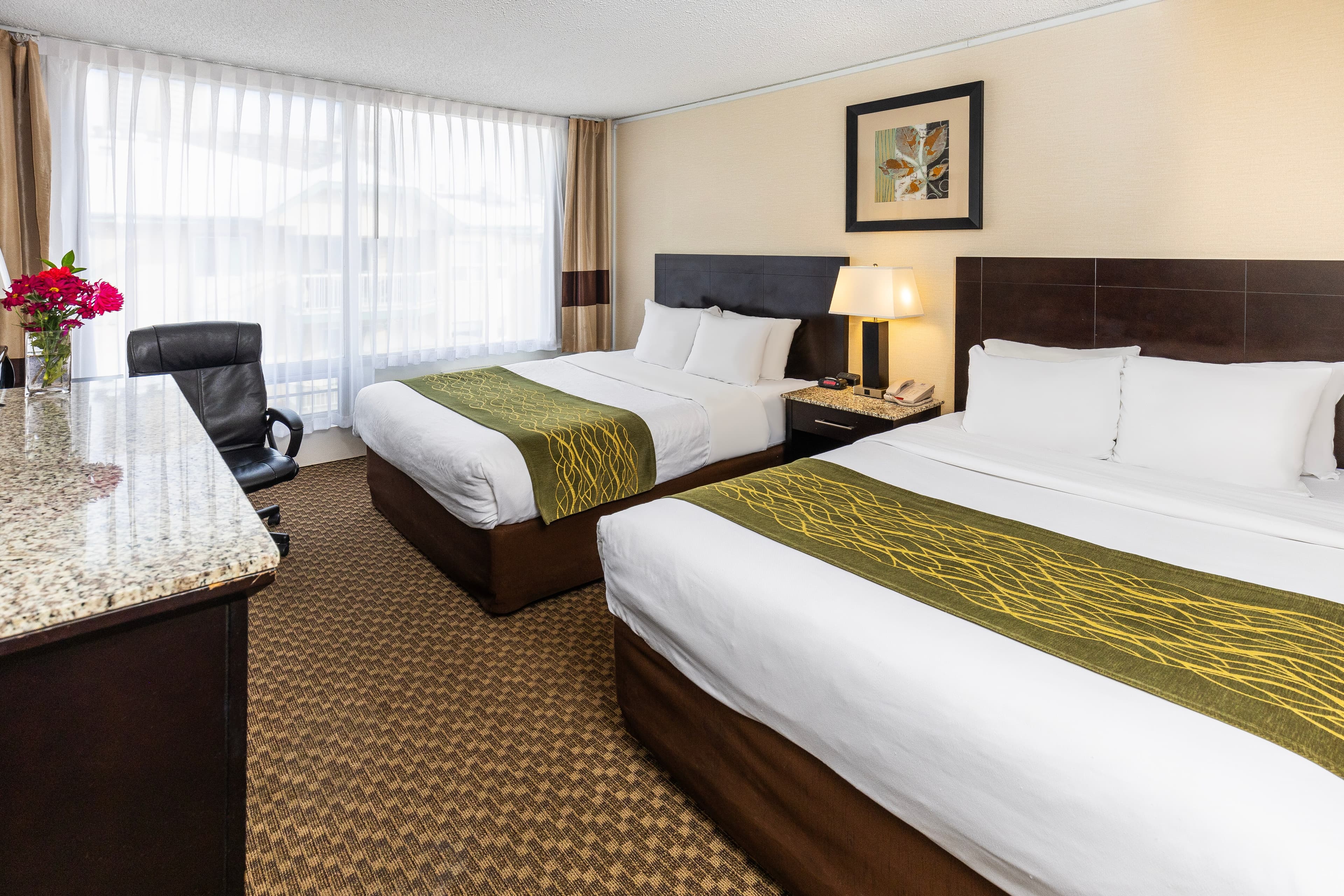 Comfort Inn & Suites — 11