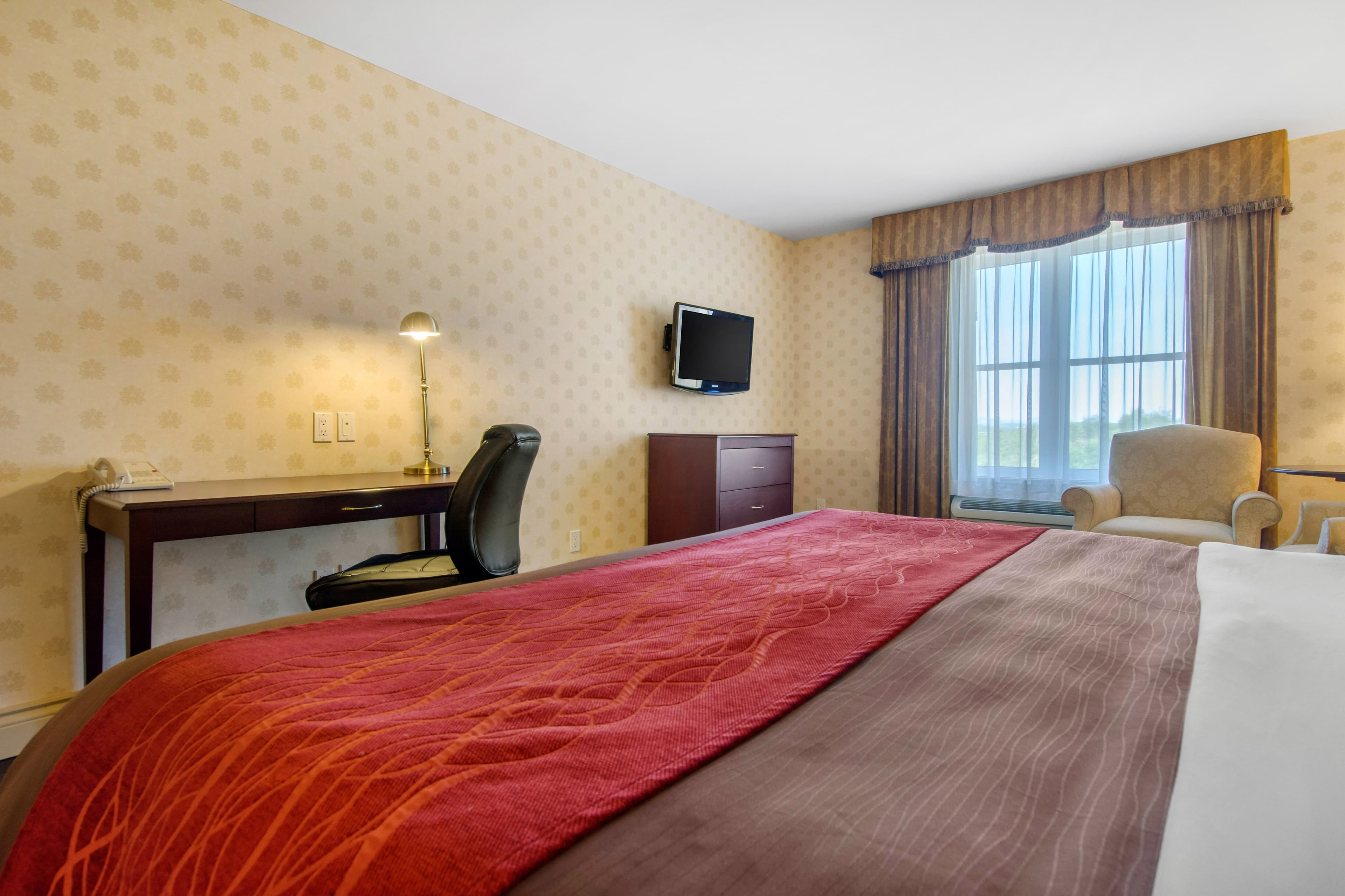 Comfort Inn & Suites - Image 3