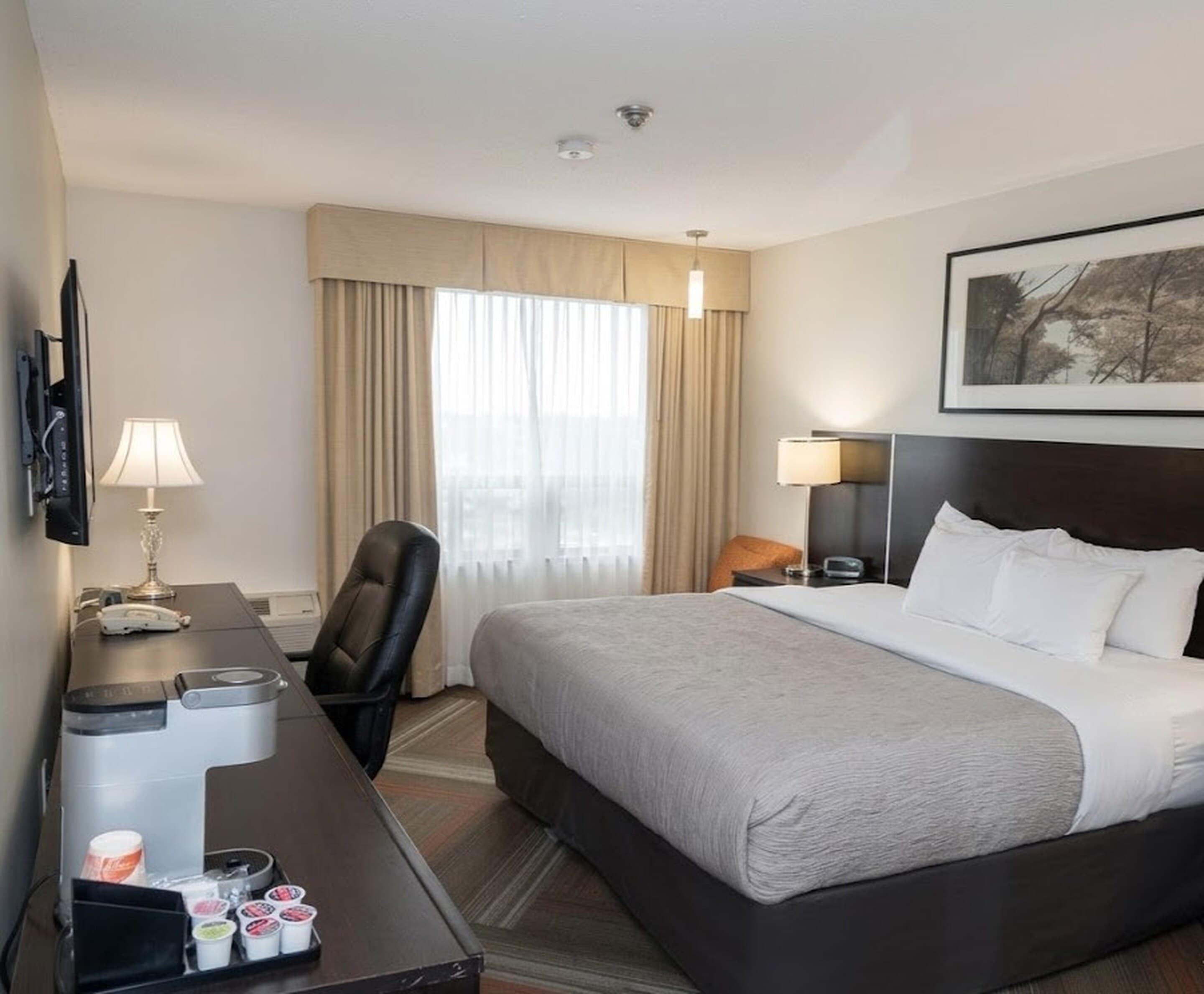 Quality Hotel — 4