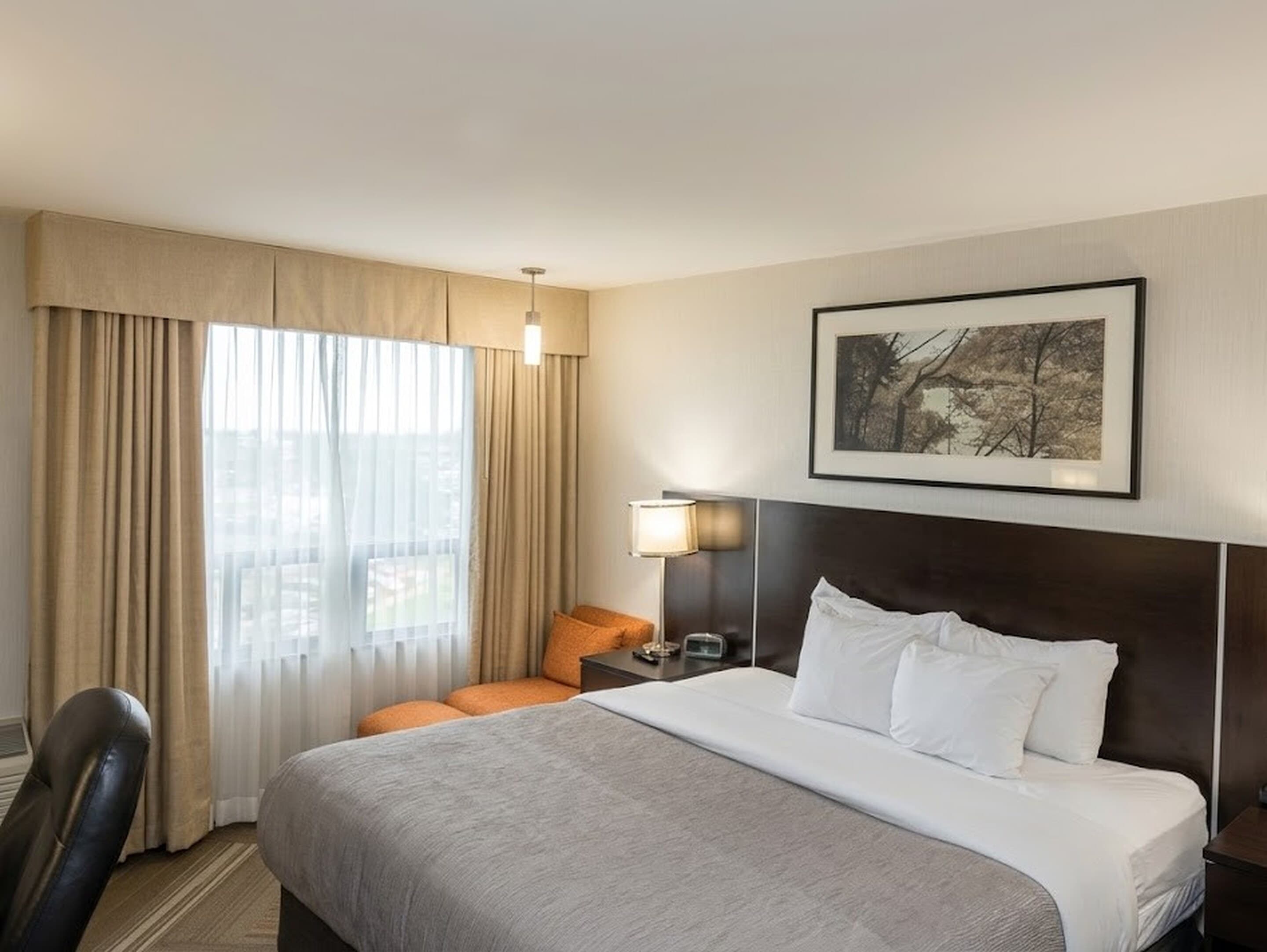 Quality Hotel — 5