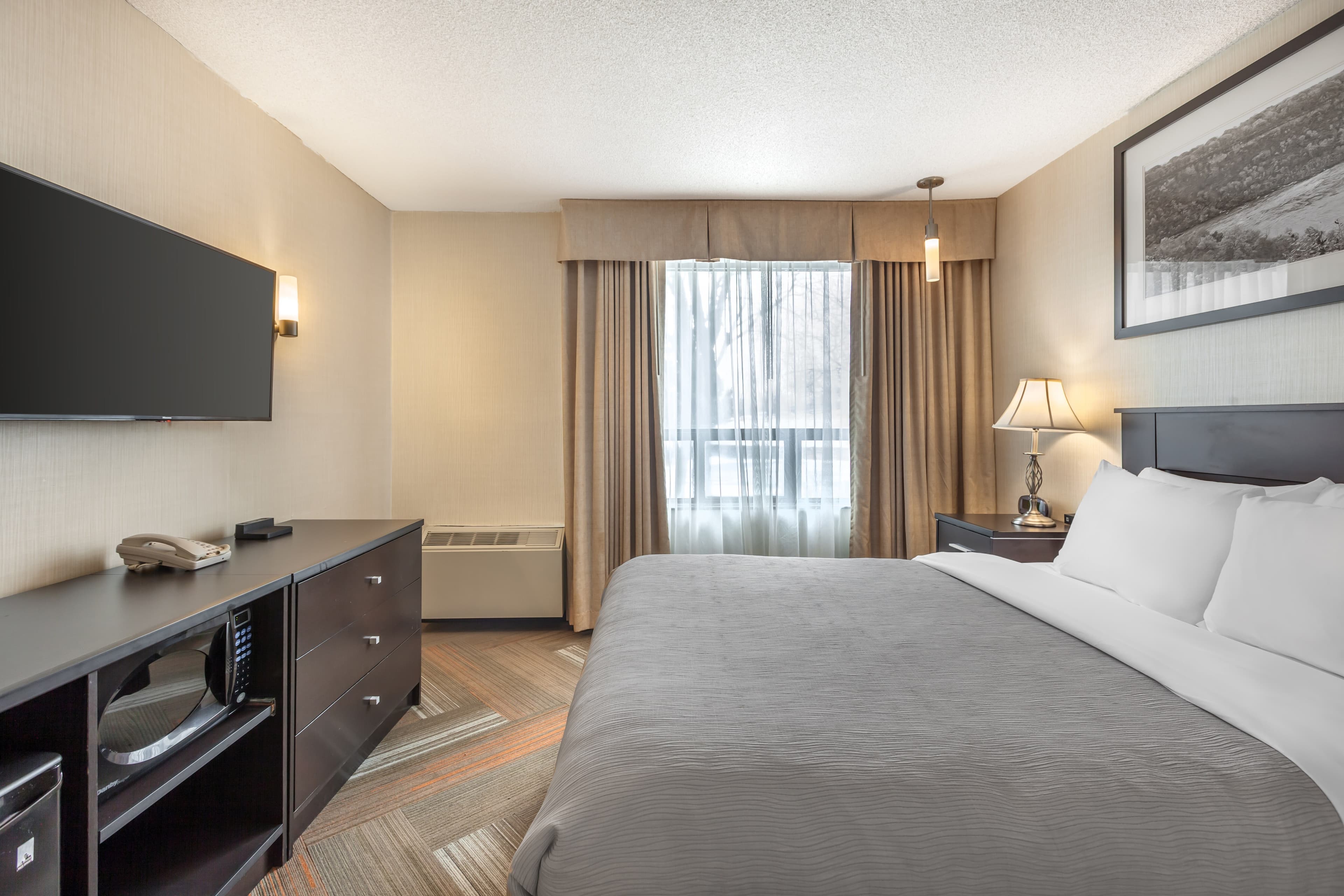 Quality Hotel — 10