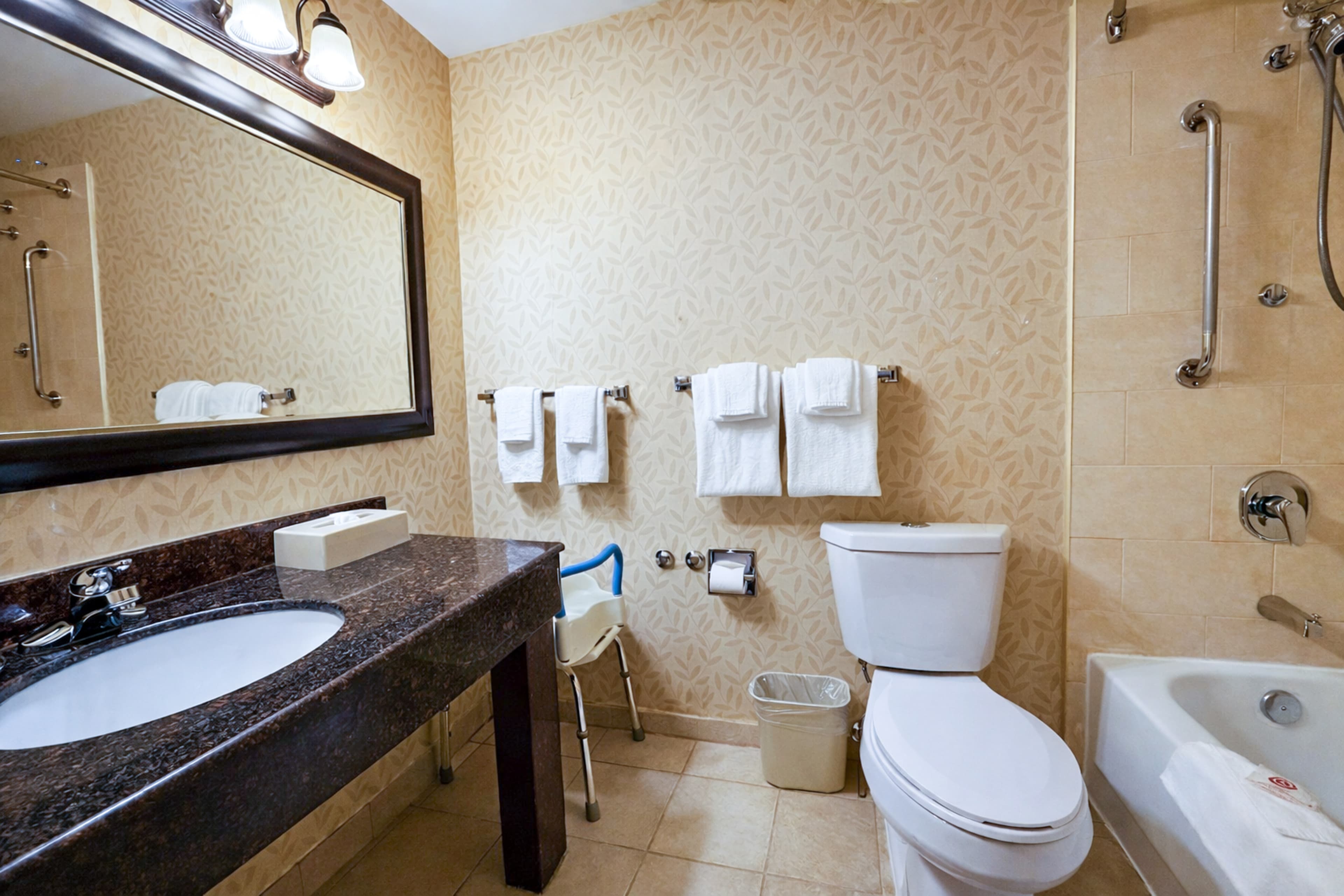 Comfort Inn & Suites Ambassador Bridge - Image 3