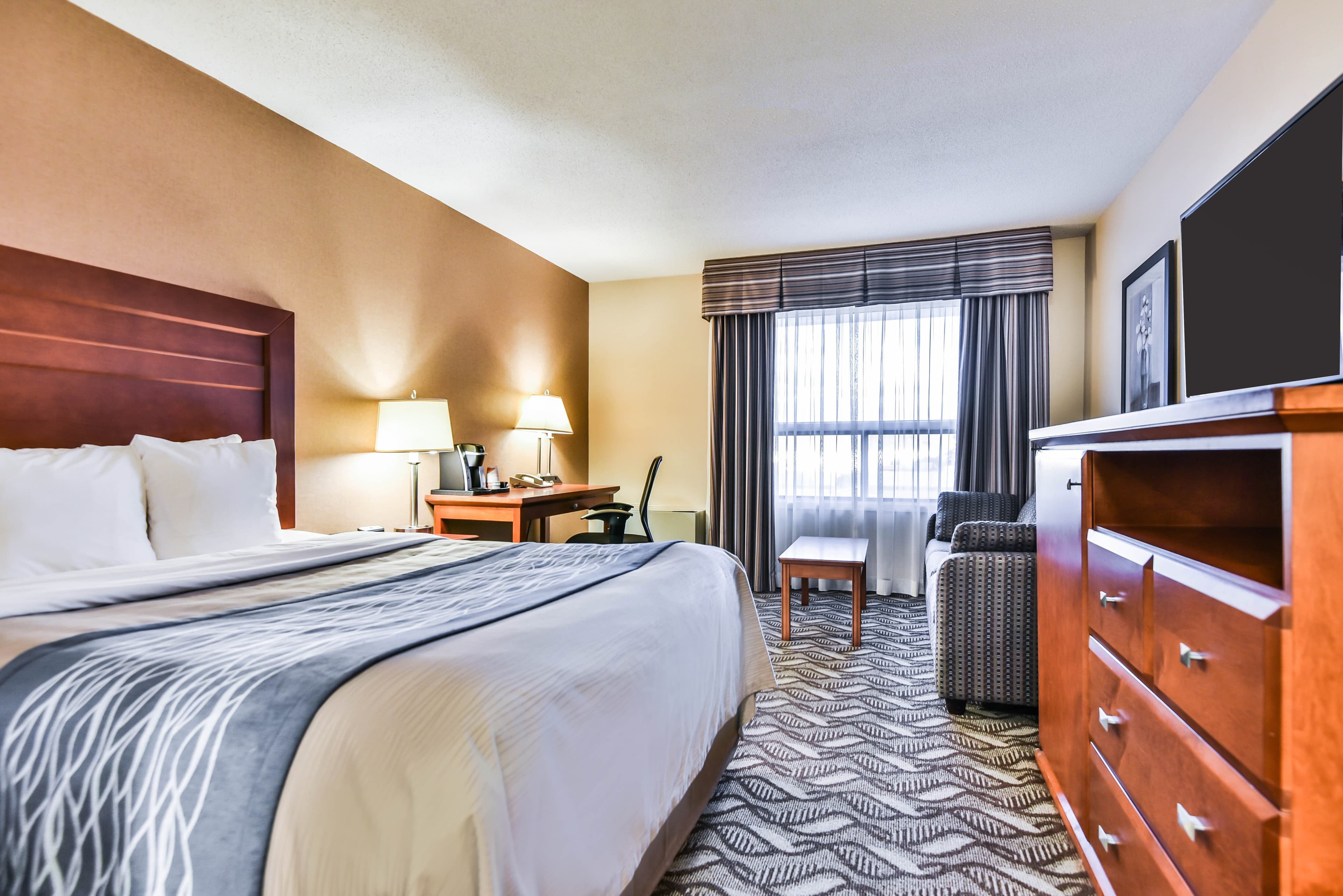 Comfort Inn & Suites Ambassador Bridge — 8