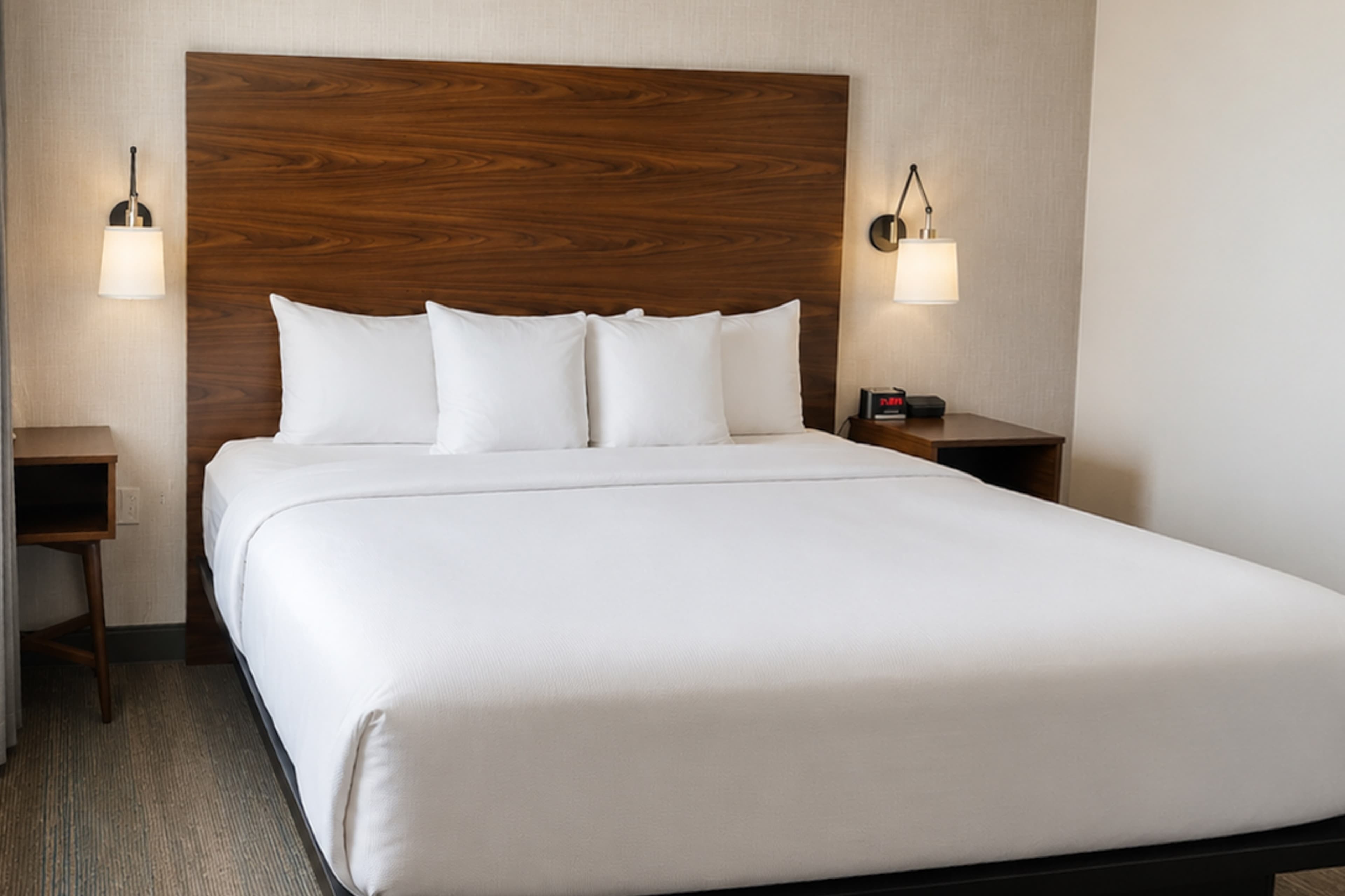 Comfort Inn & Suites Ambassador Bridge — 12