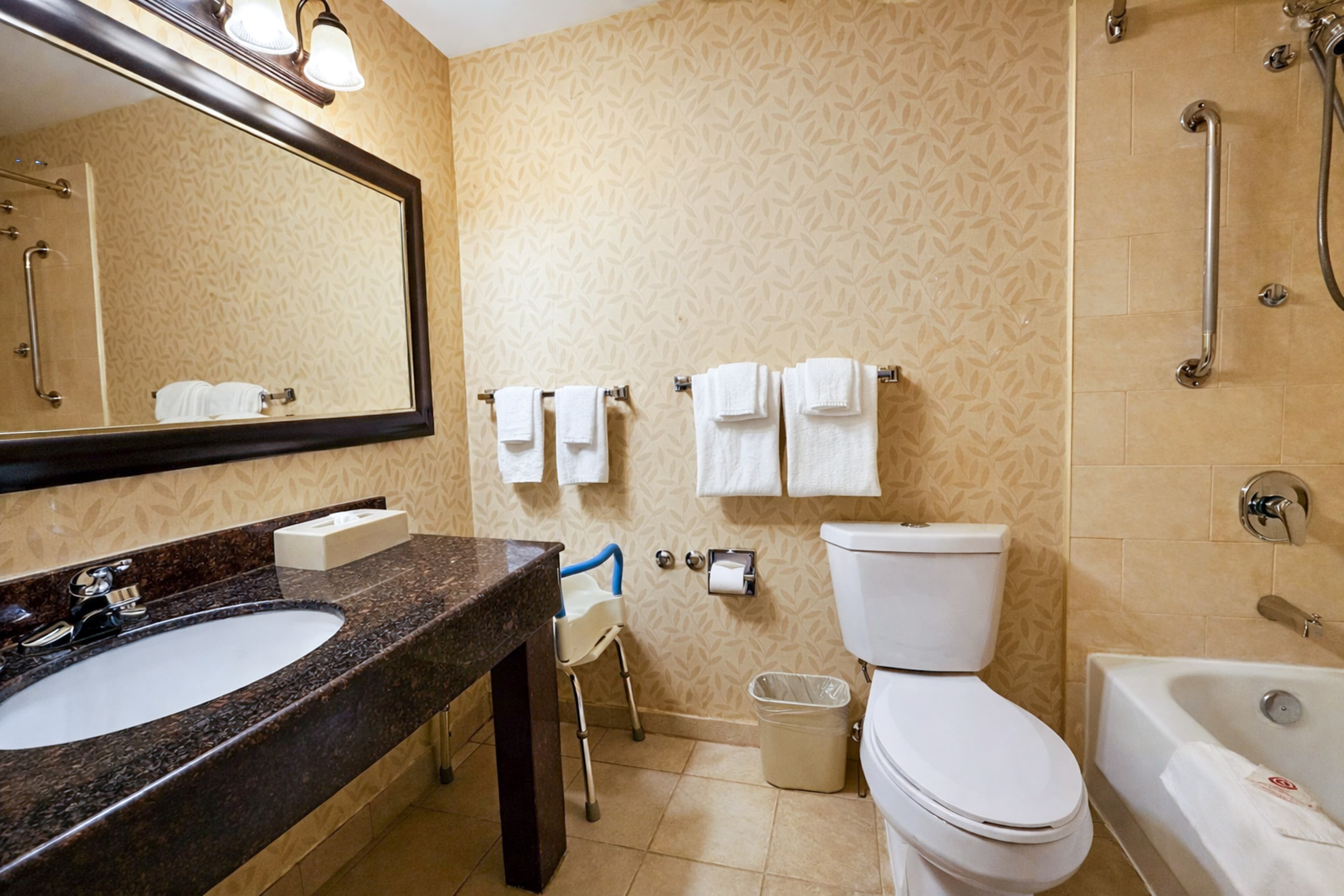 Comfort Inn & Suites Ambassador Bridge — 17