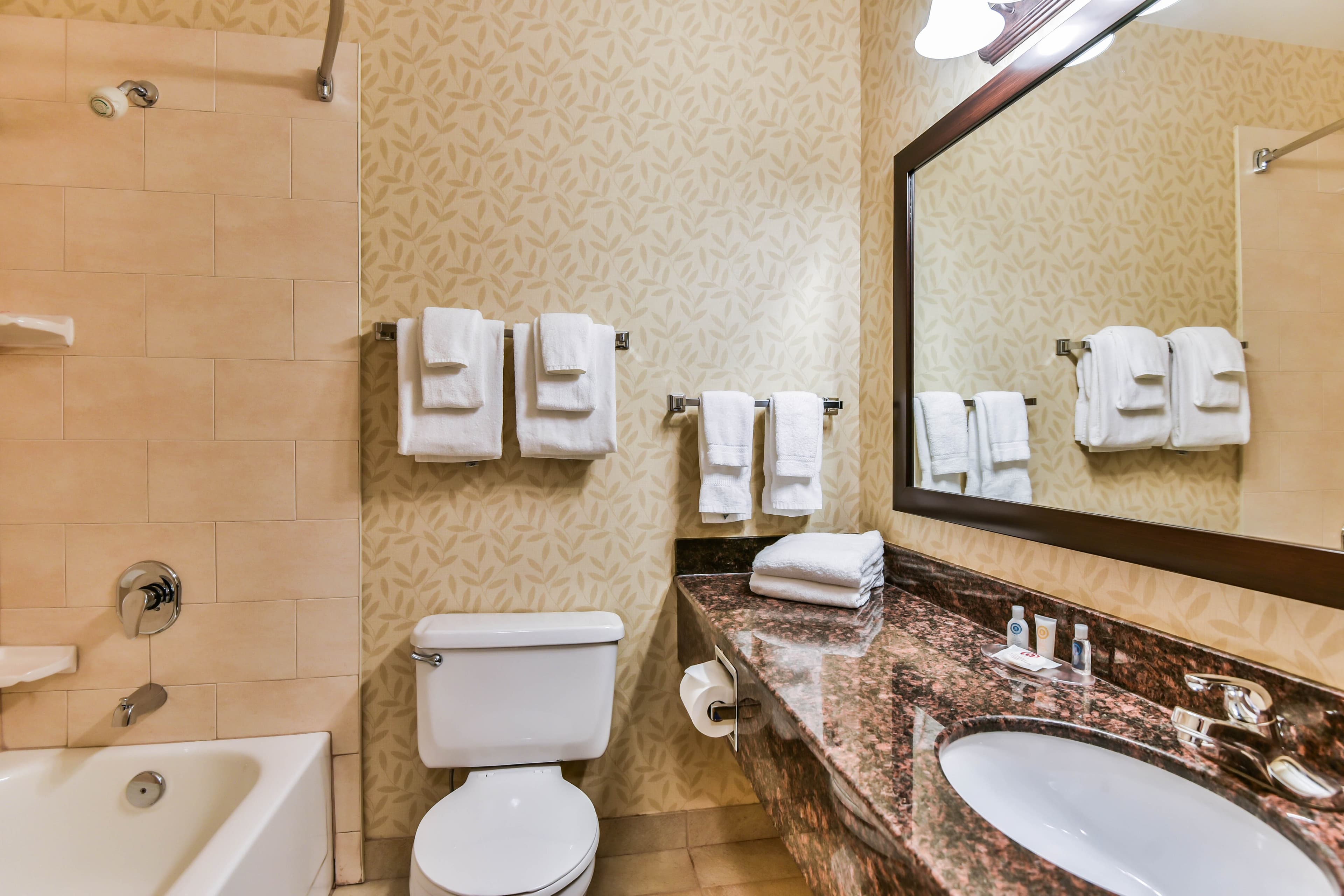 Comfort Inn & Suites Ambassador Bridge - Image 5