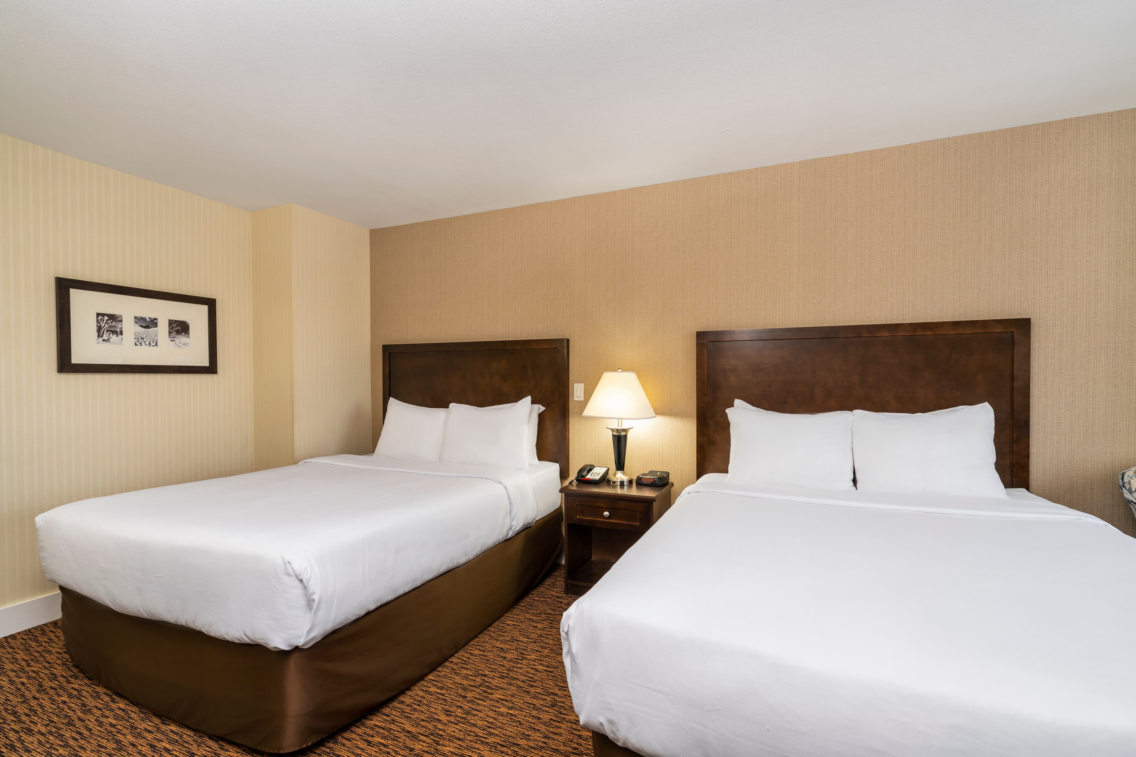 Comfort Inn & Suites — 11