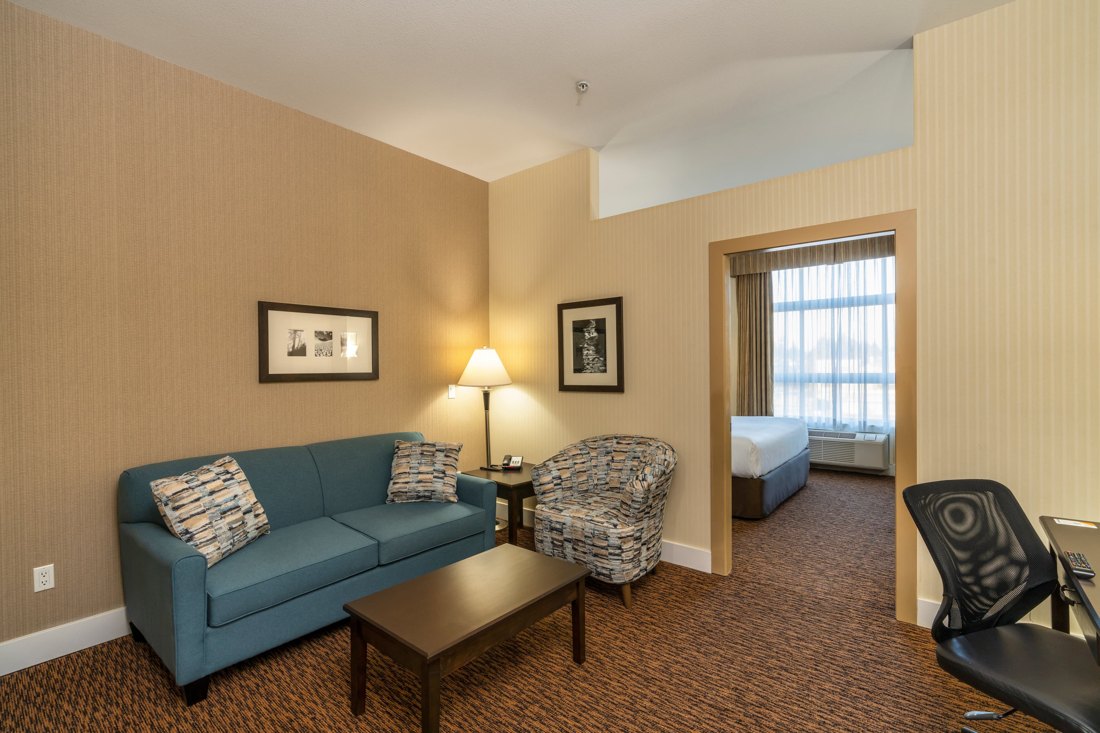 Comfort Inn & Suites — 17