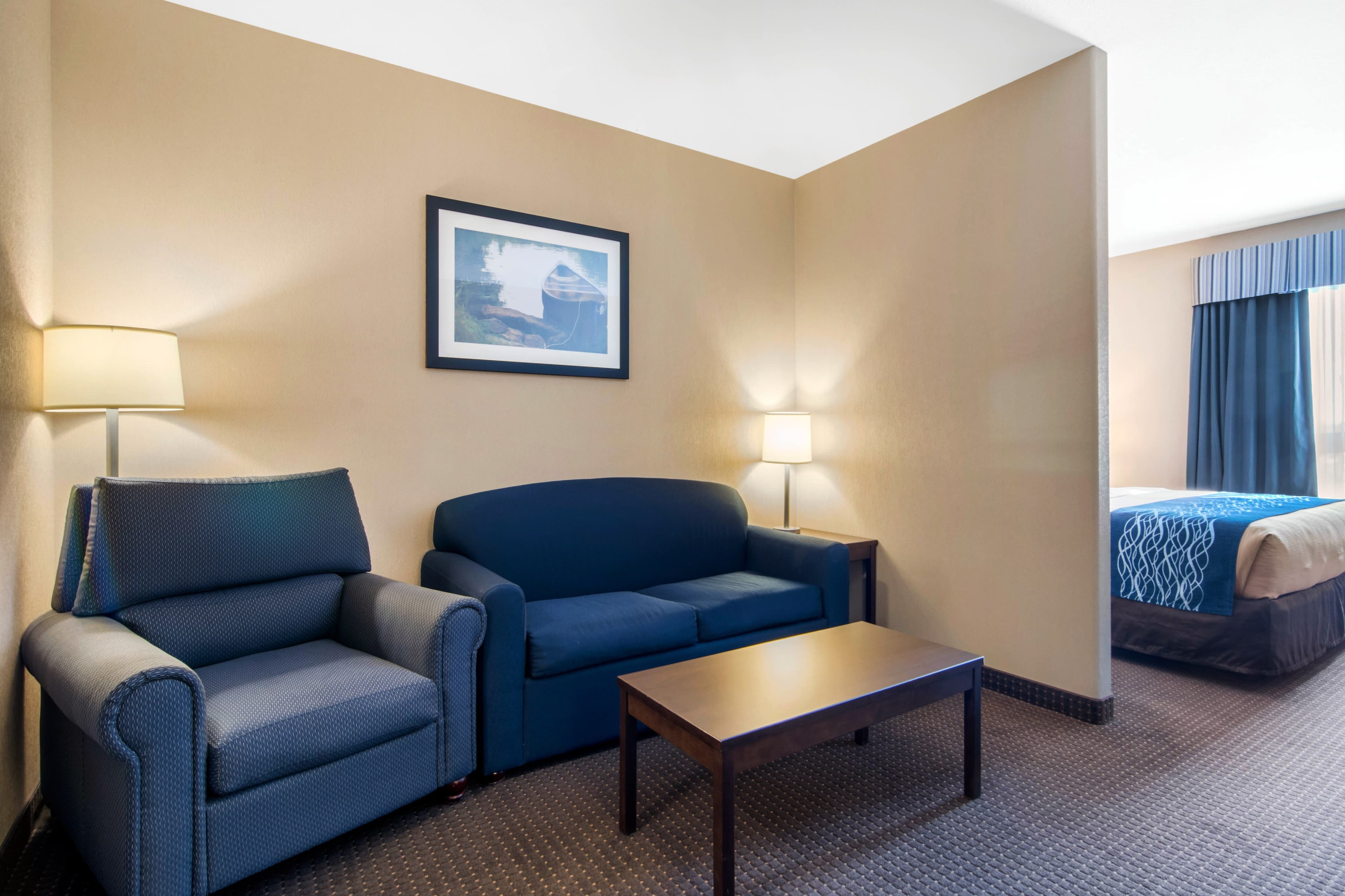 Comfort Inn & Suites — 14