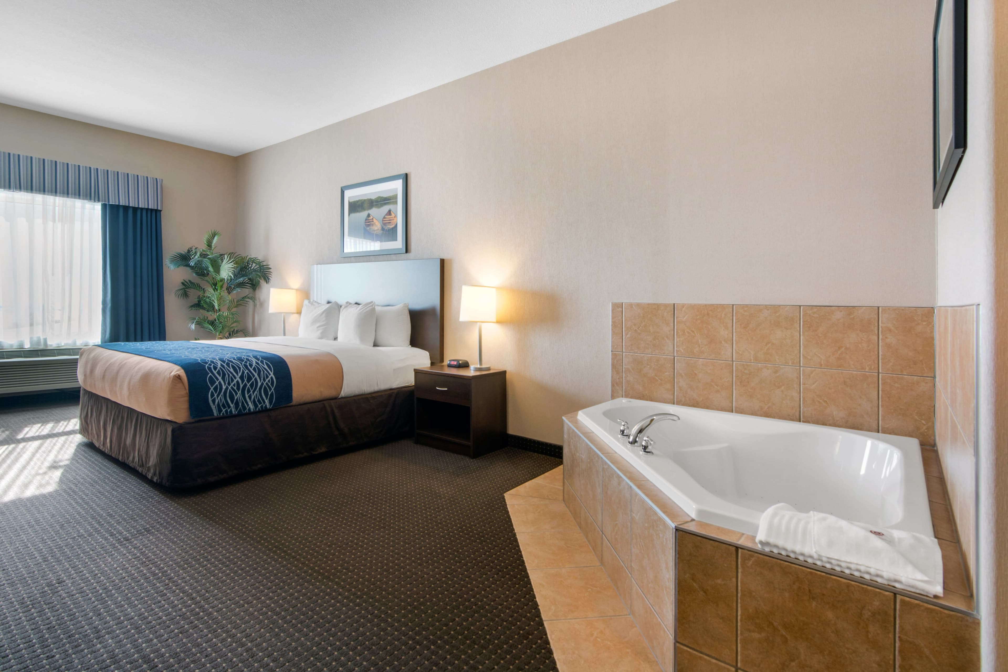 Comfort Inn & Suites — 22