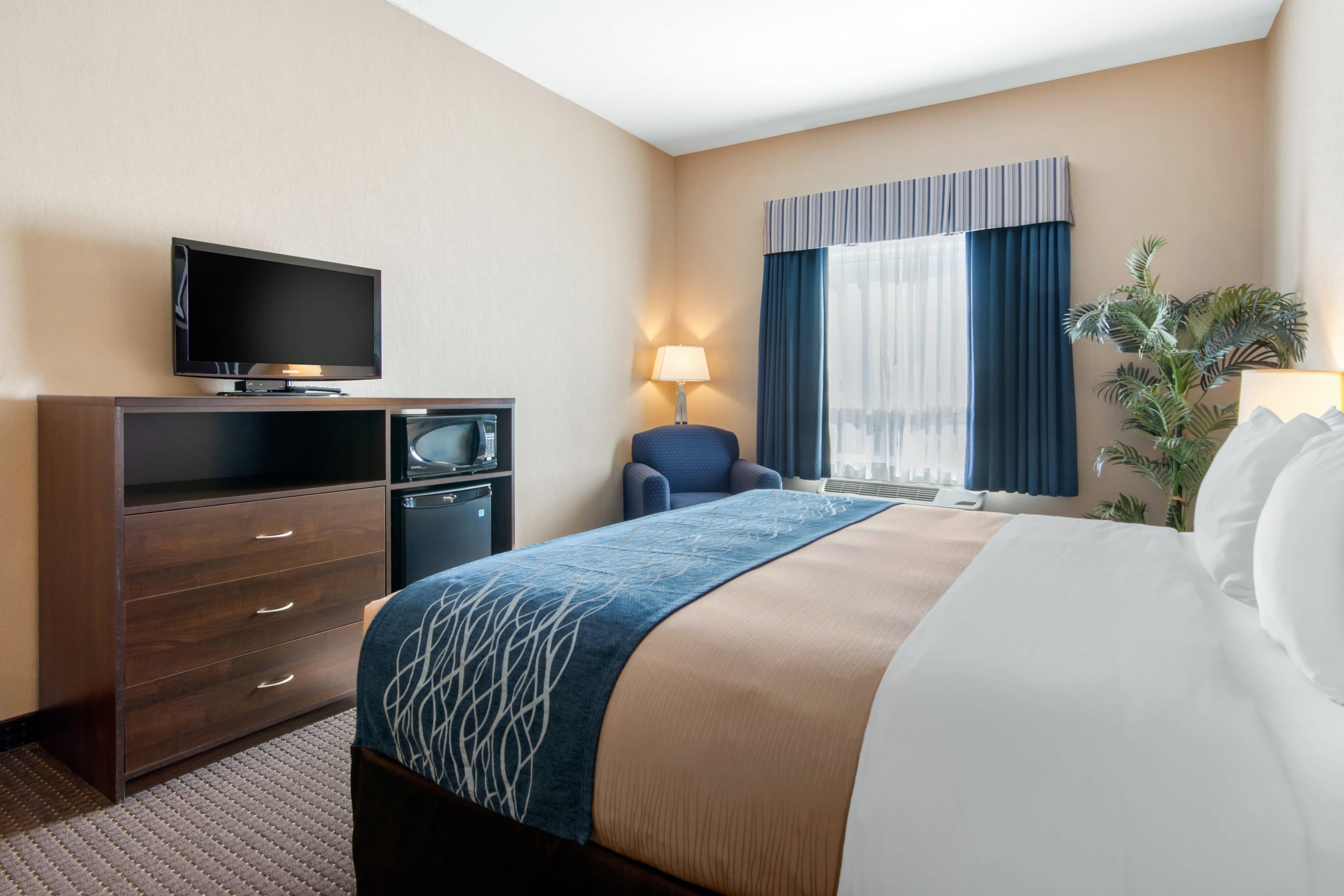 Comfort Inn & Suites — 23