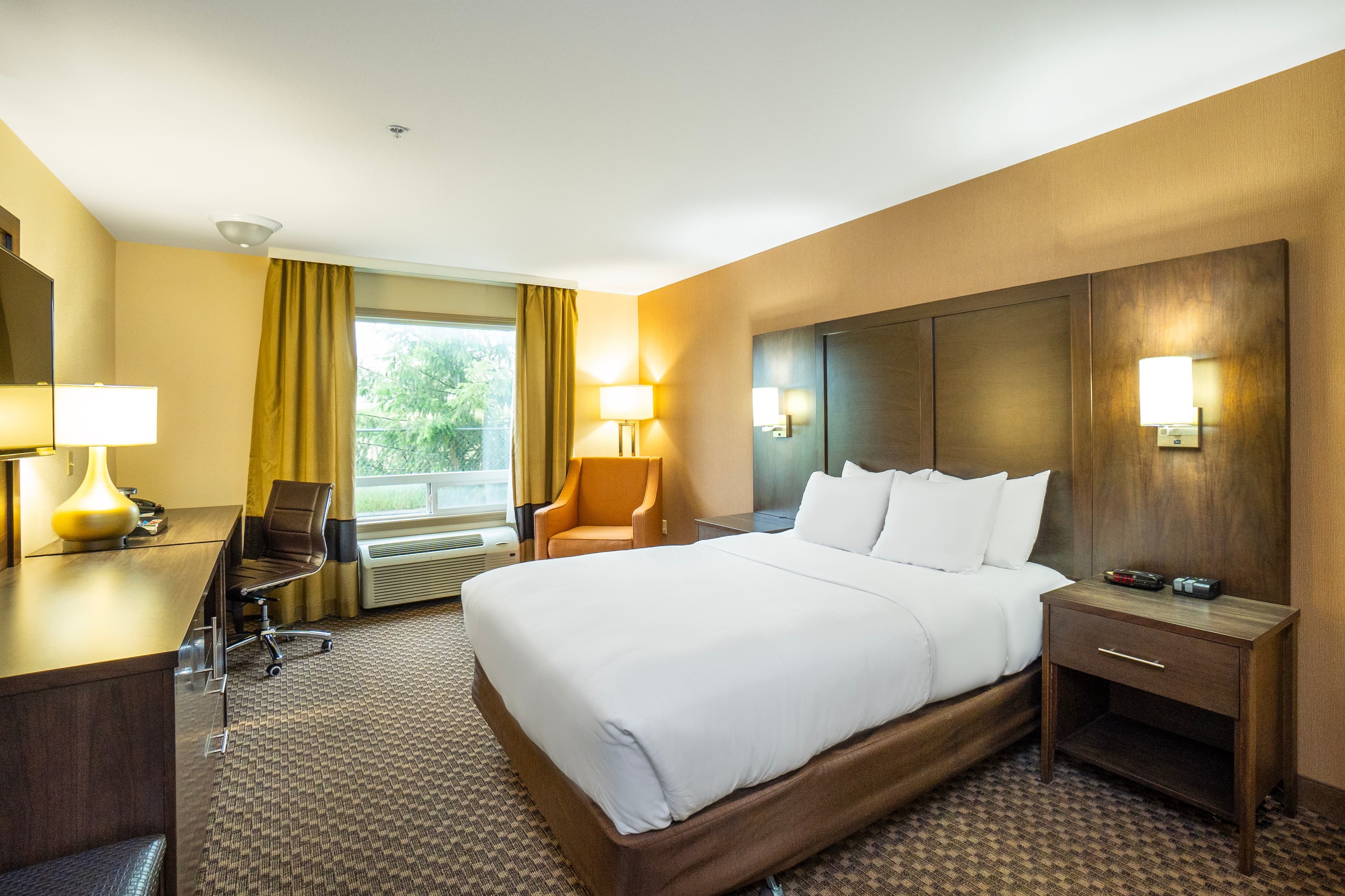 Comfort Inn & Suites - Image 2