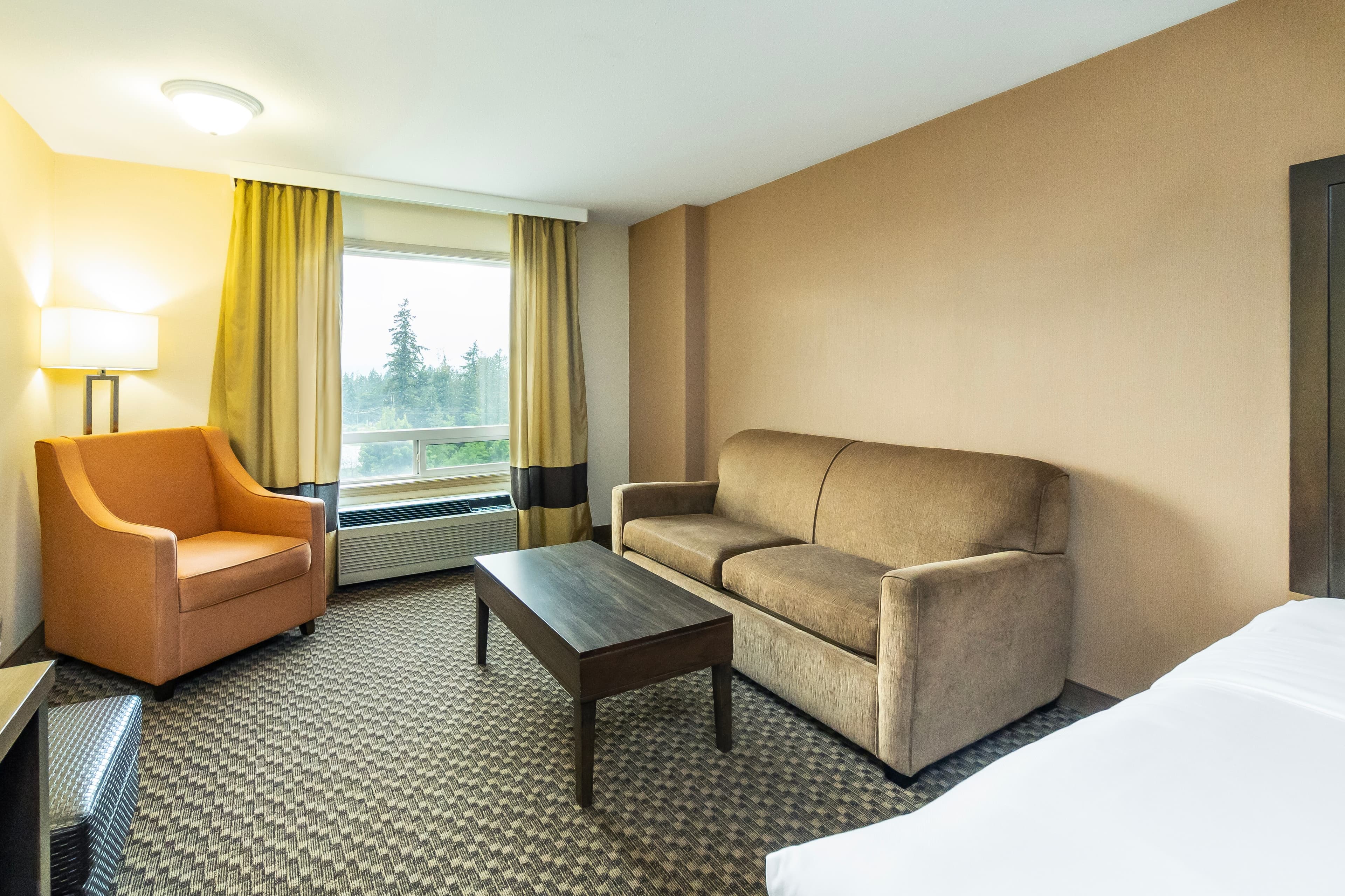Comfort Inn & Suites — 15