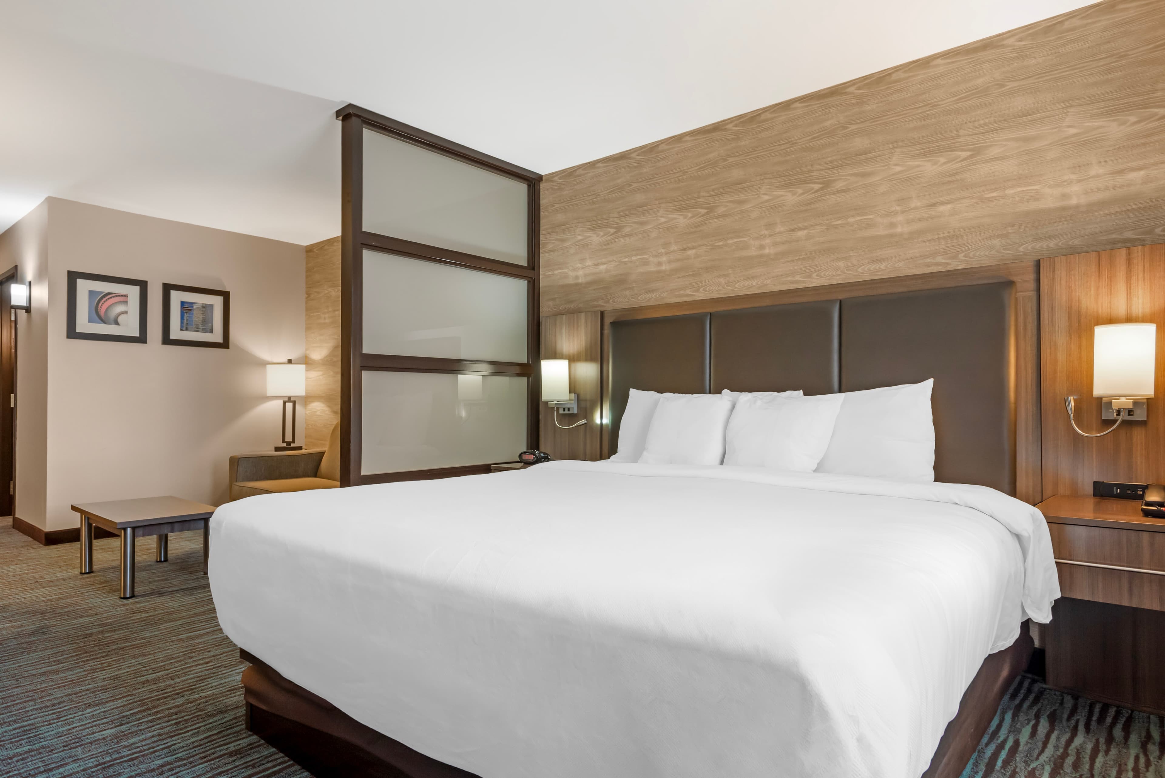 Comfort Inn & Suites Airport North — 23
