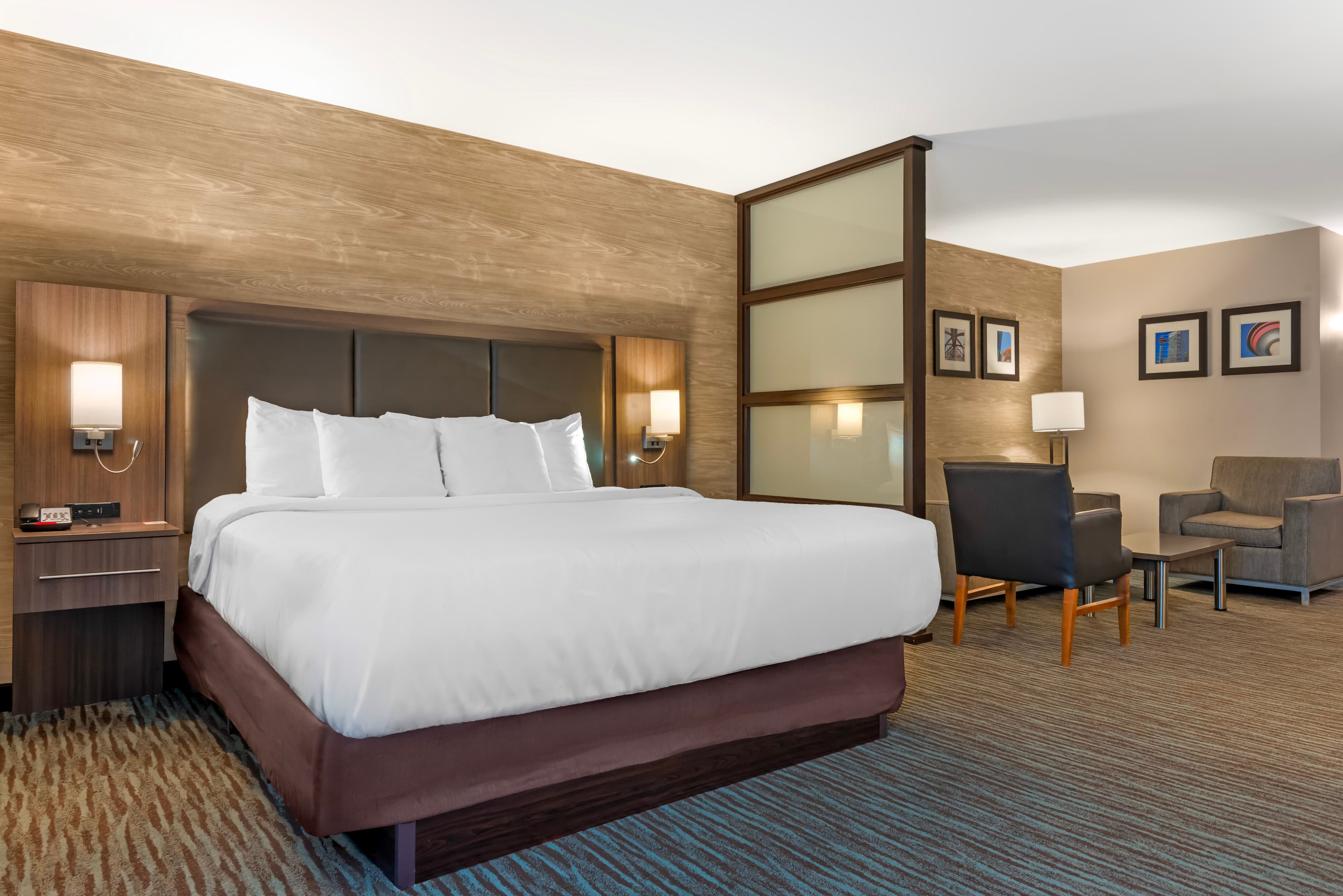 Comfort Inn & Suites Airport North — 19