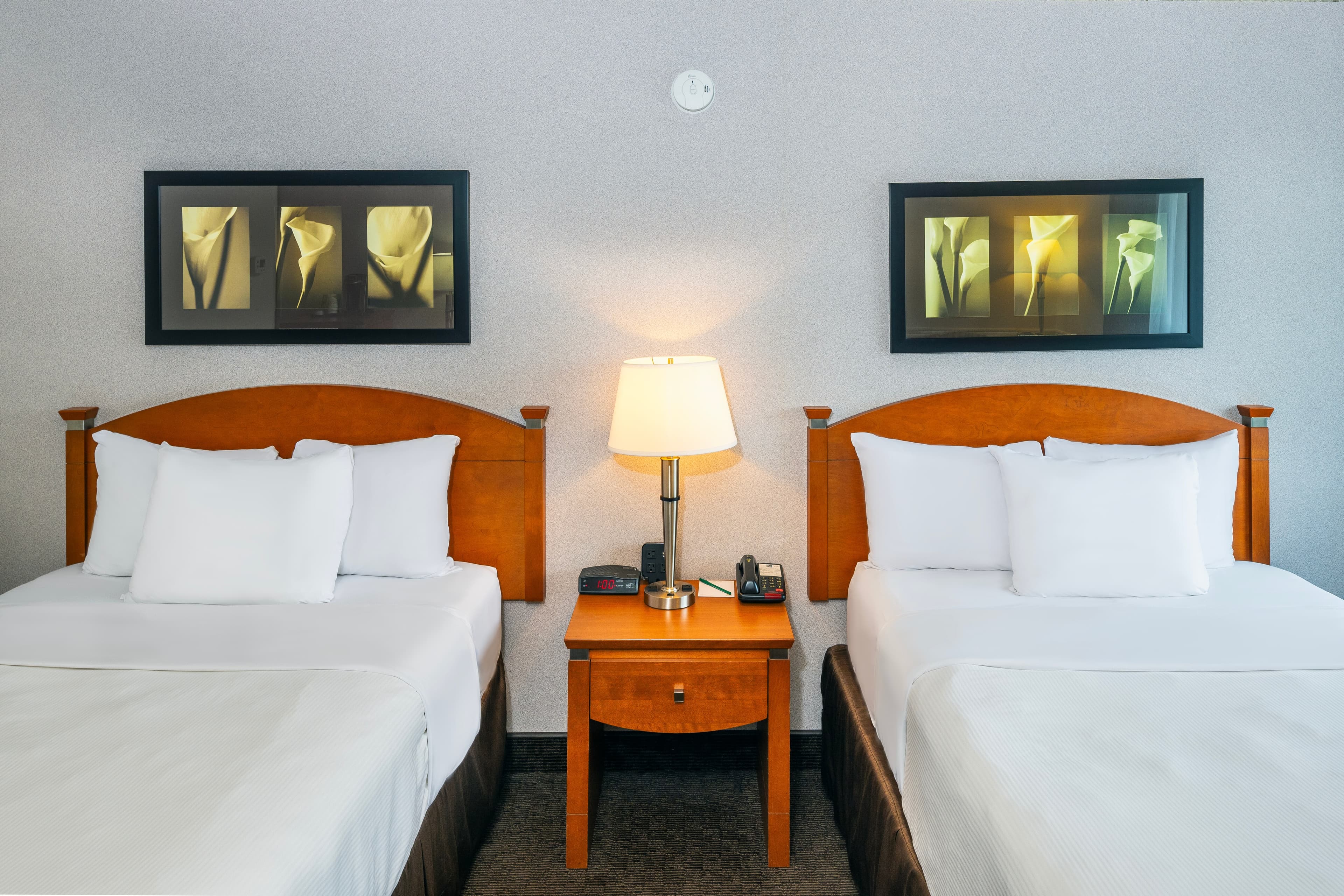 Quality Inn — 16