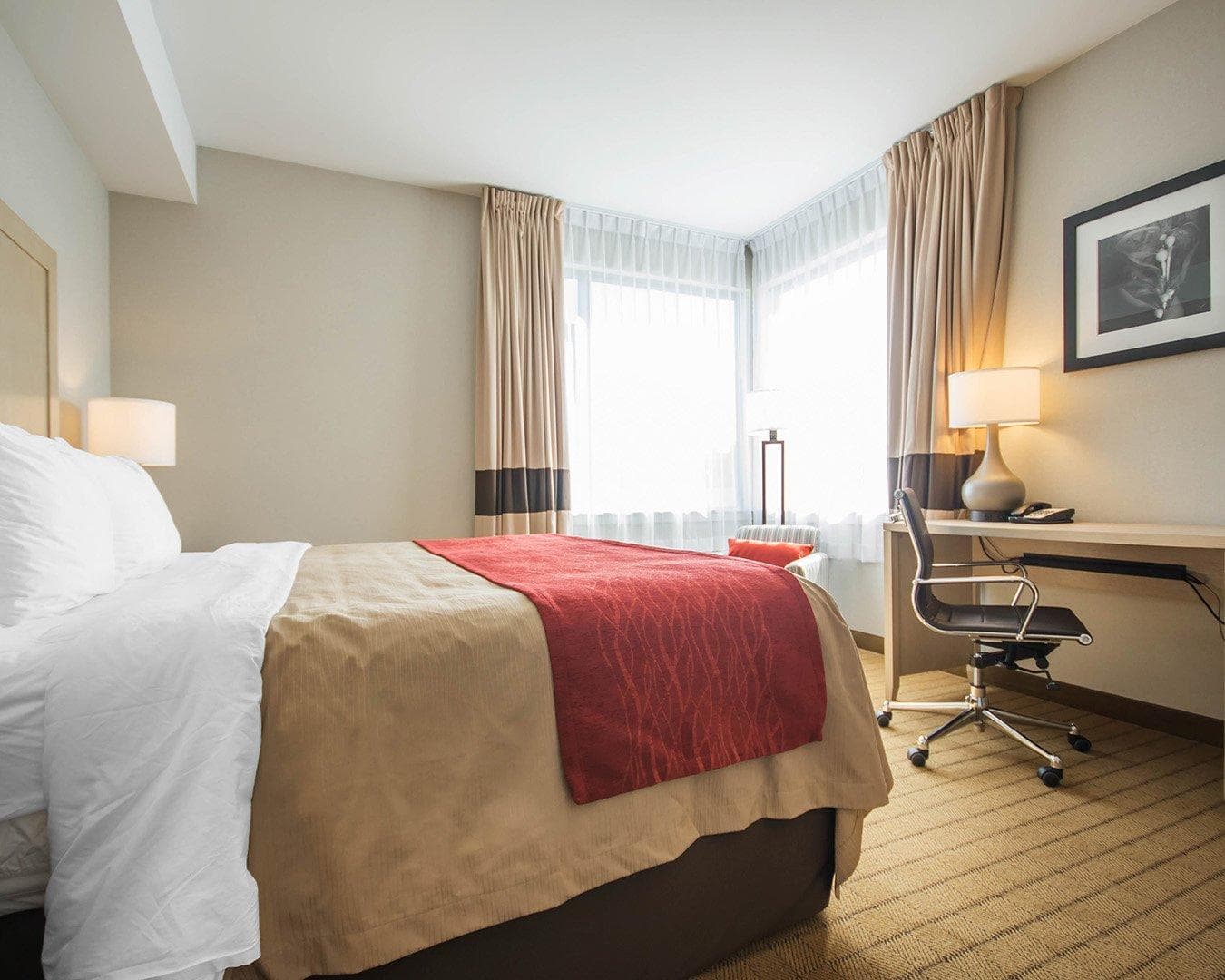 Comfort Inn & Suites - Image 3