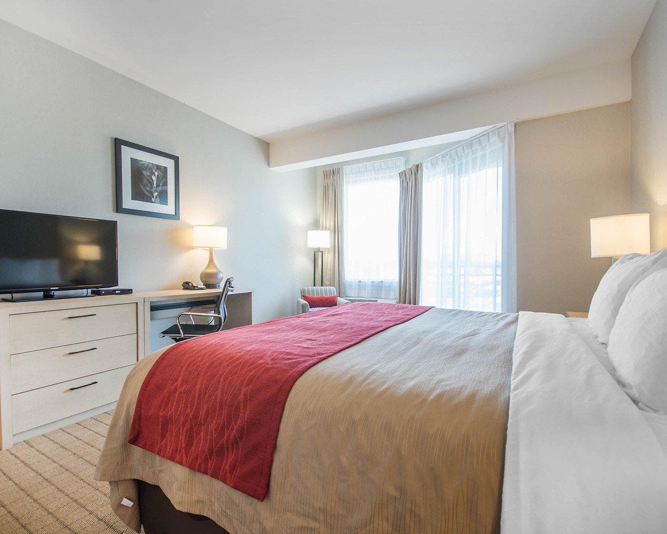 Comfort Inn & Suites — 7