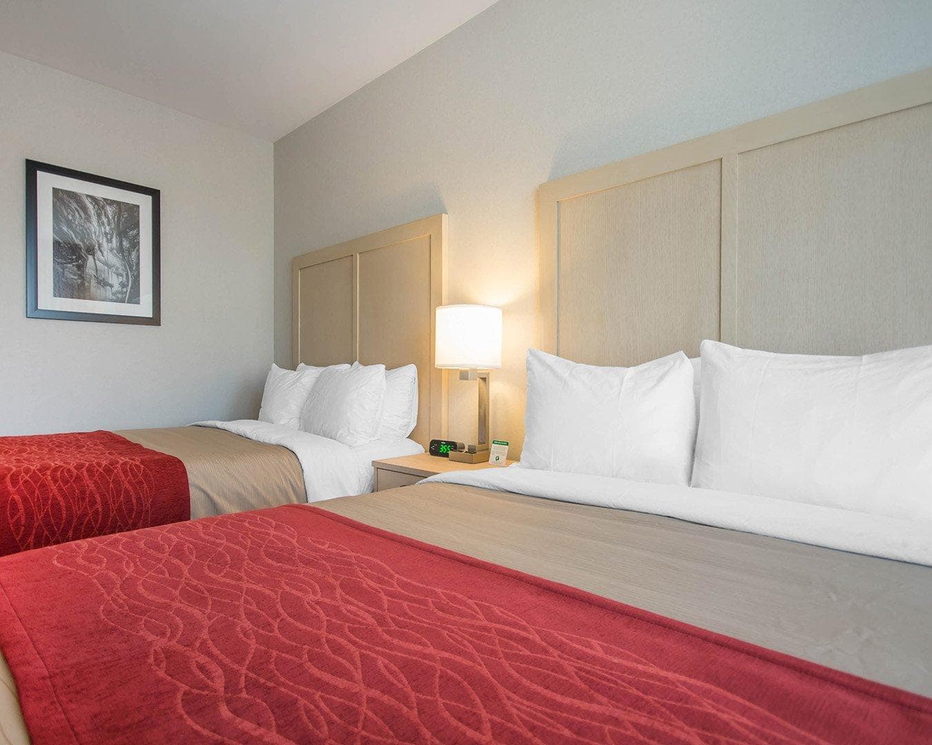 Comfort Inn & Suites — 17
