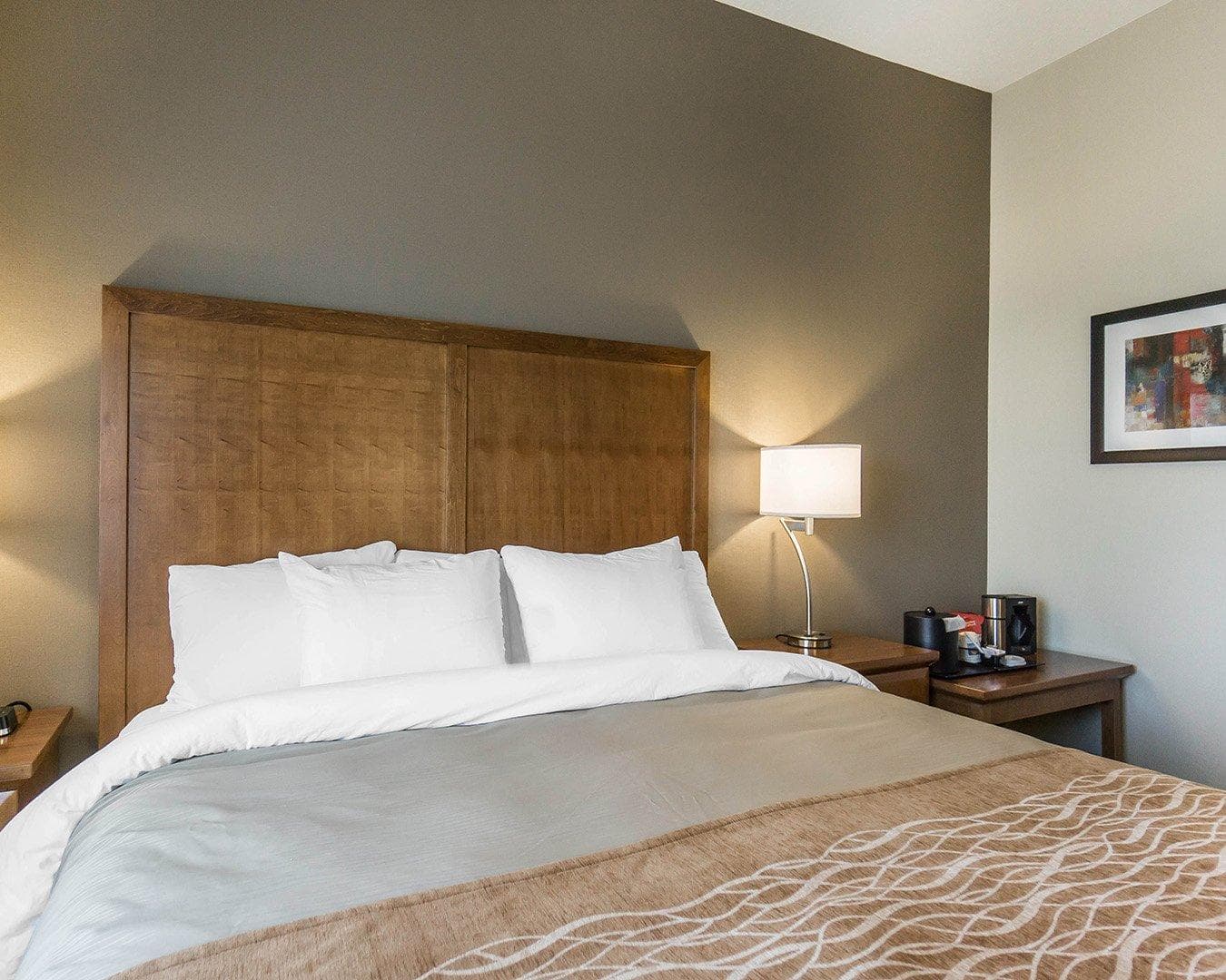 Comfort Inn & Suites Edmonton International Airport - Image 3