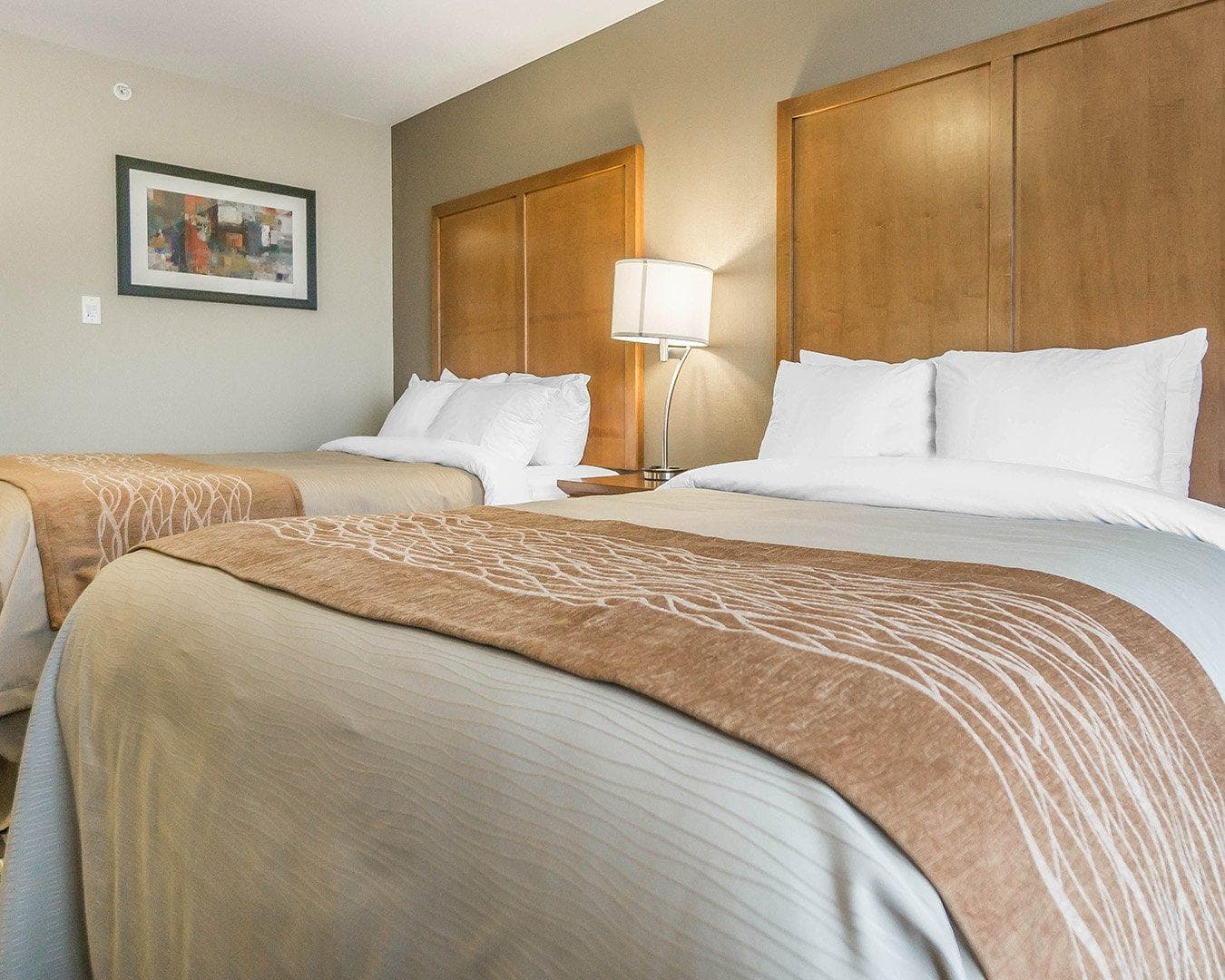 Comfort Inn & Suites Edmonton International Airport — 11
