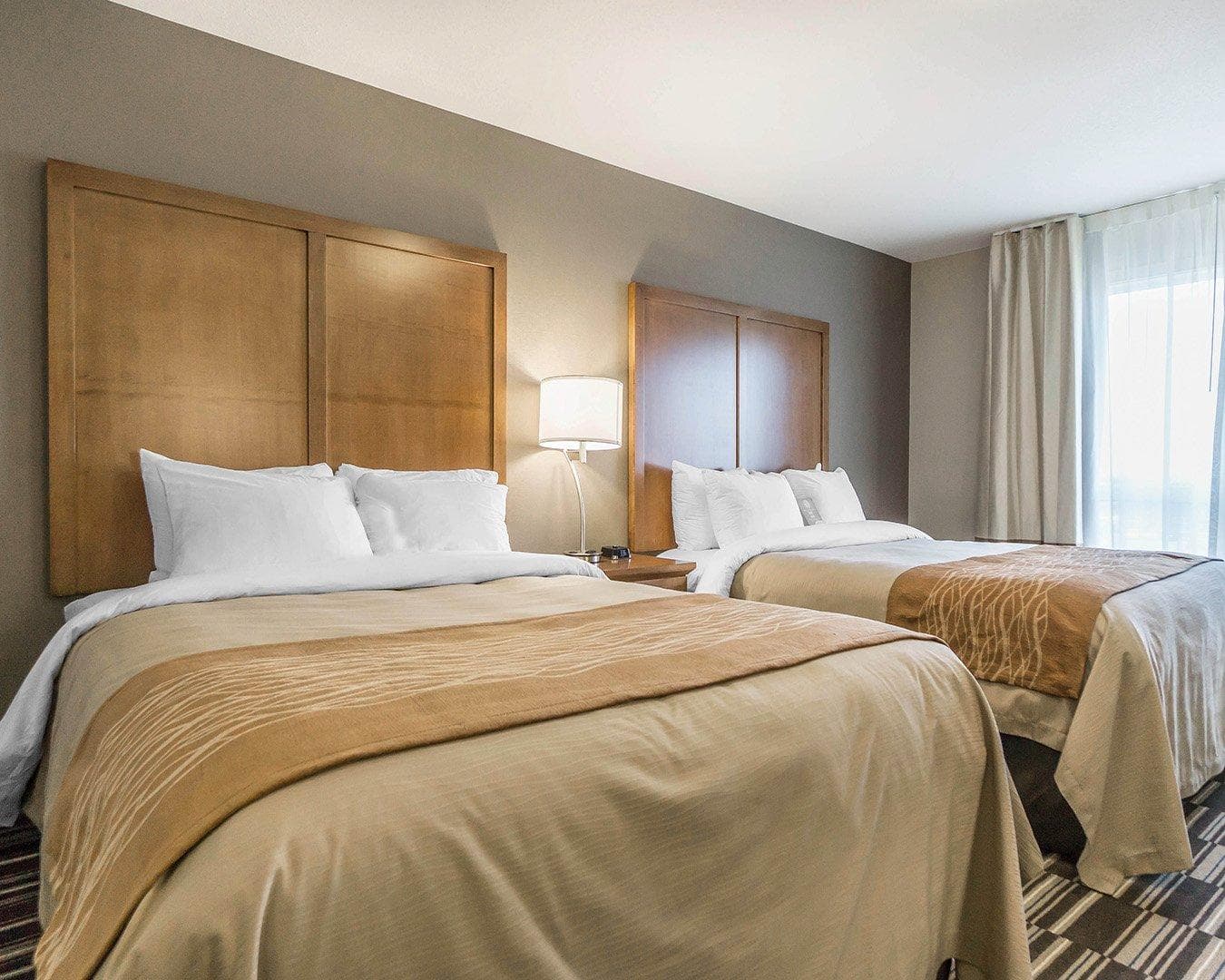 Comfort Inn & Suites Edmonton International Airport — 13