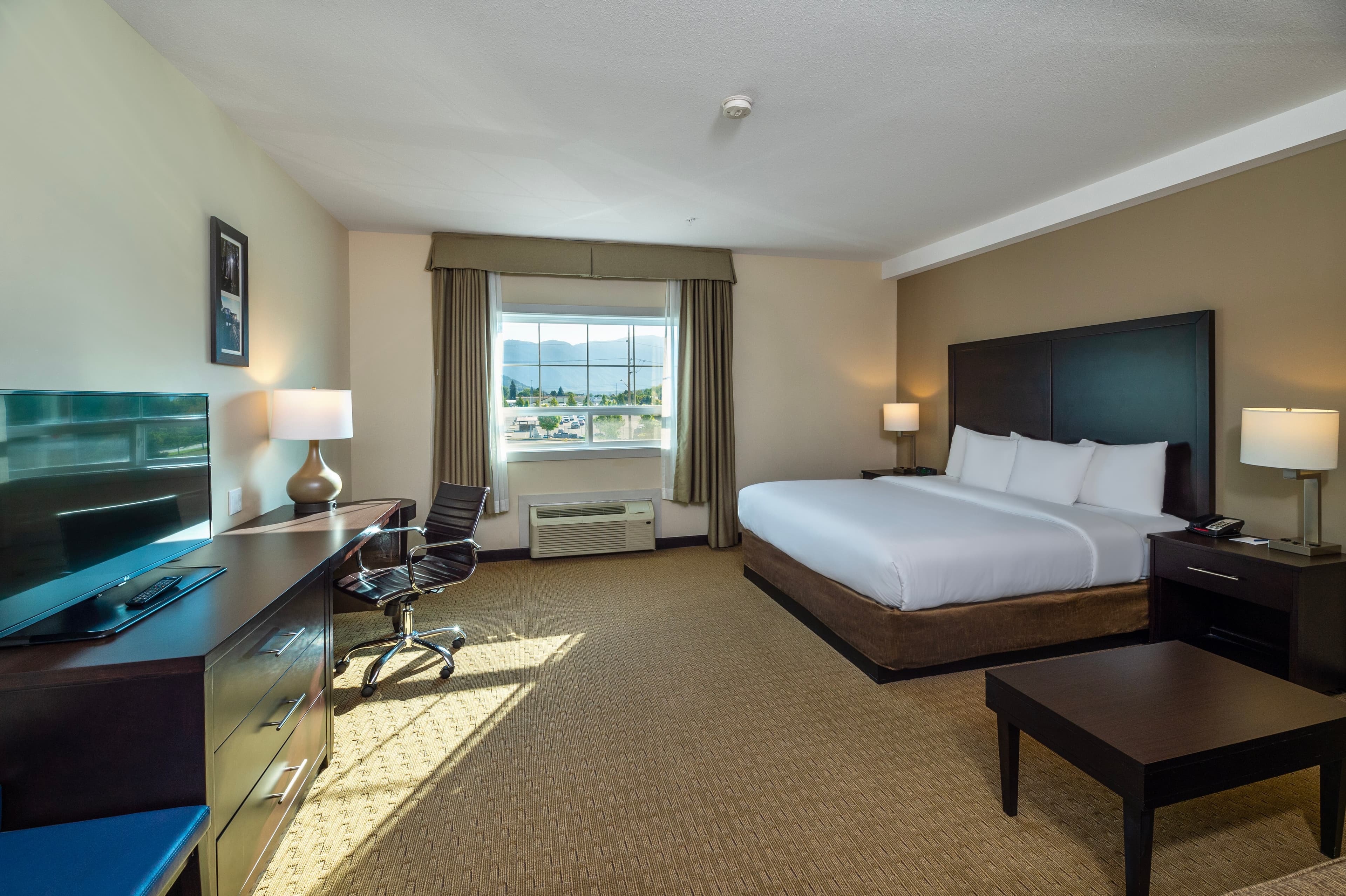Comfort Inn & Suites — 9