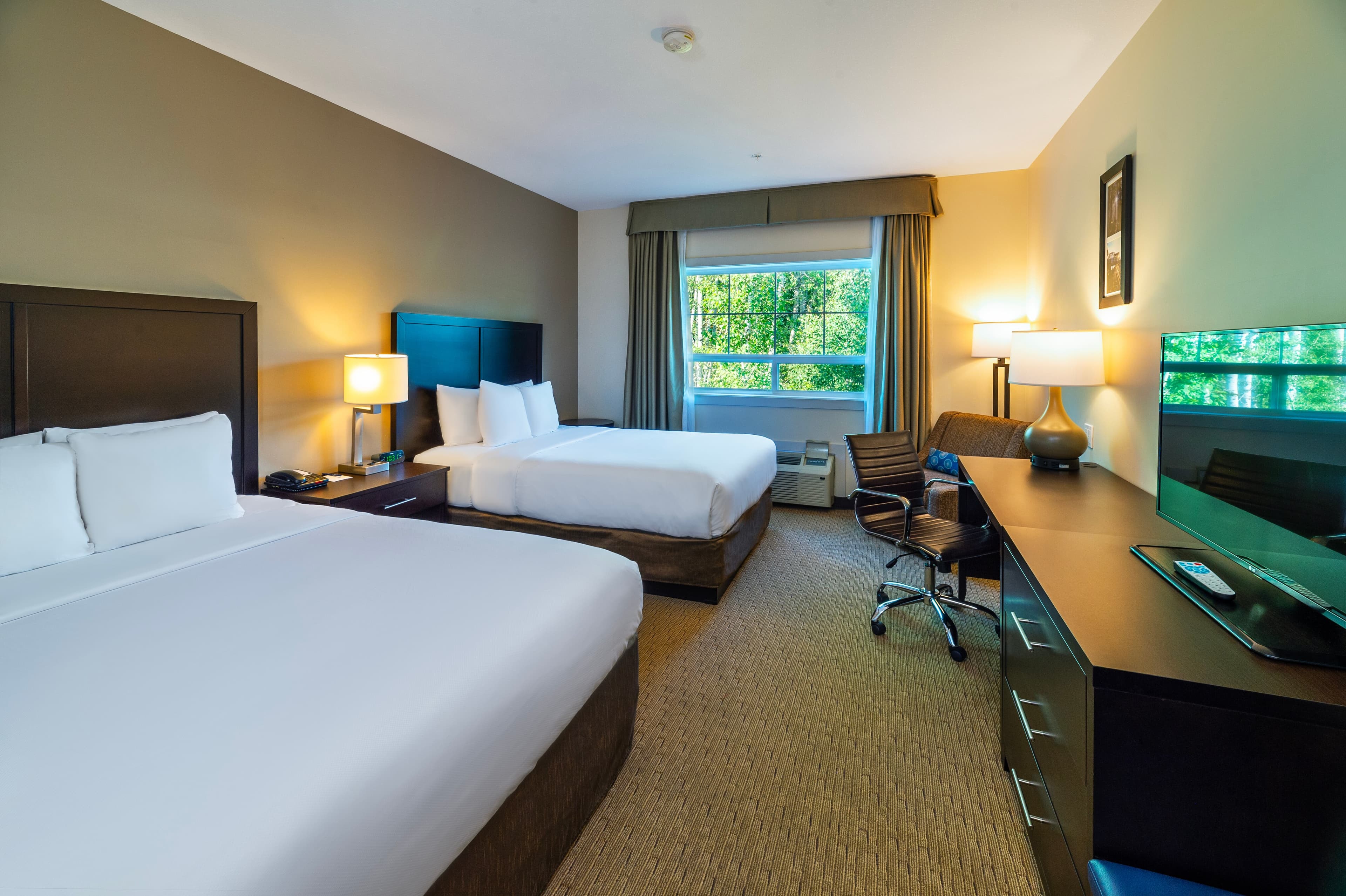 Comfort Inn & Suites — 14