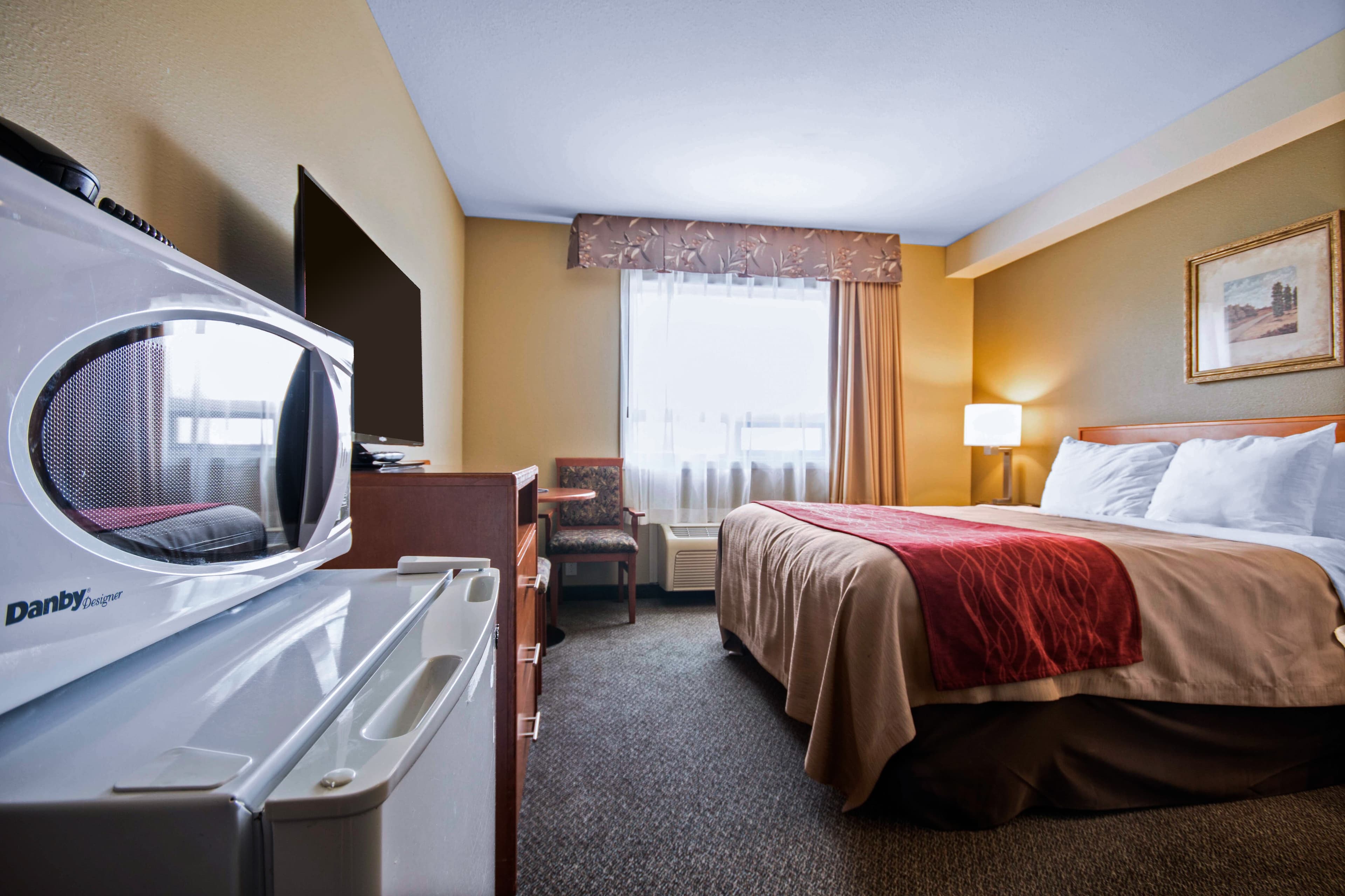 Comfort Inn & Suites — 24