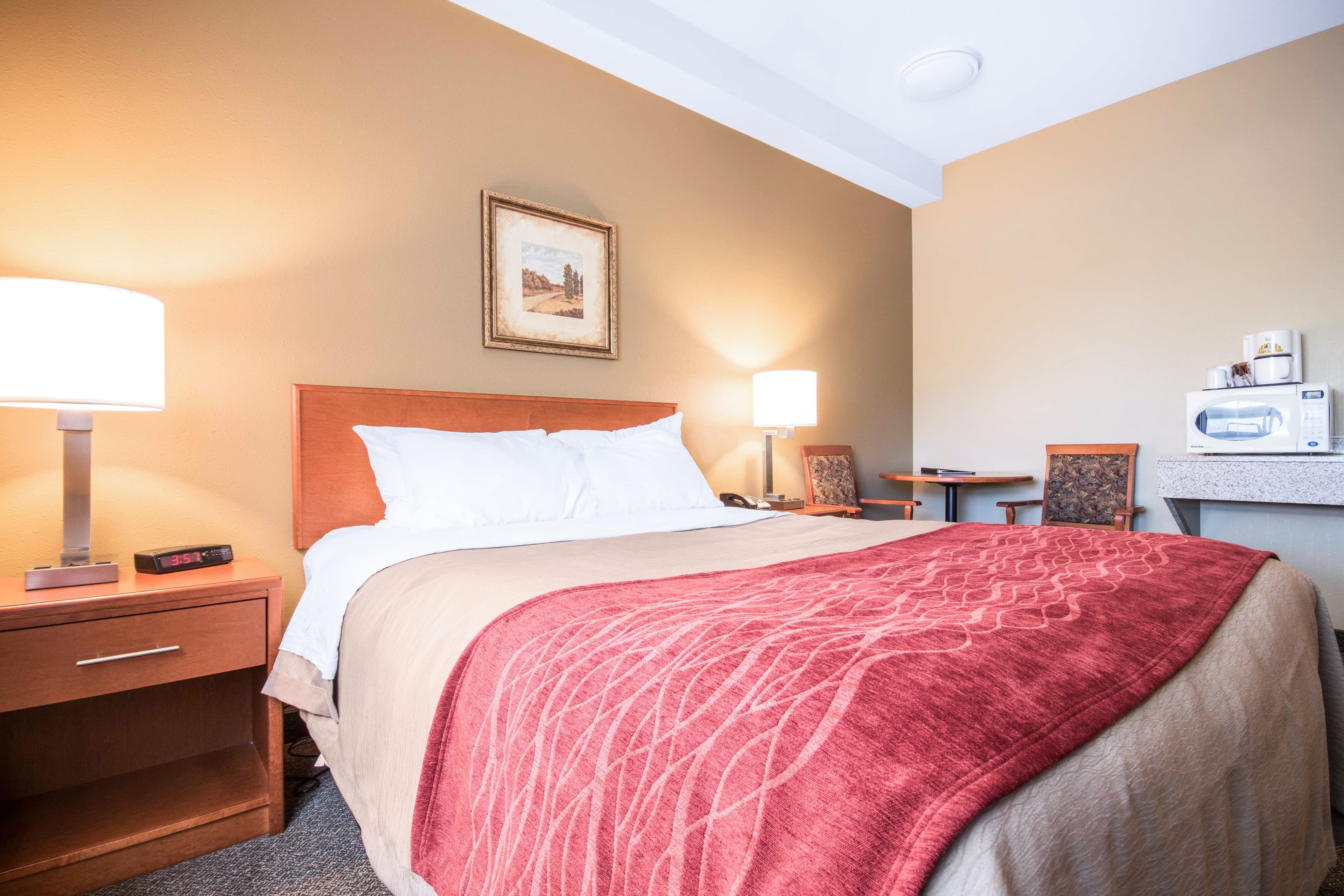 Comfort Inn & Suites - Image 2
