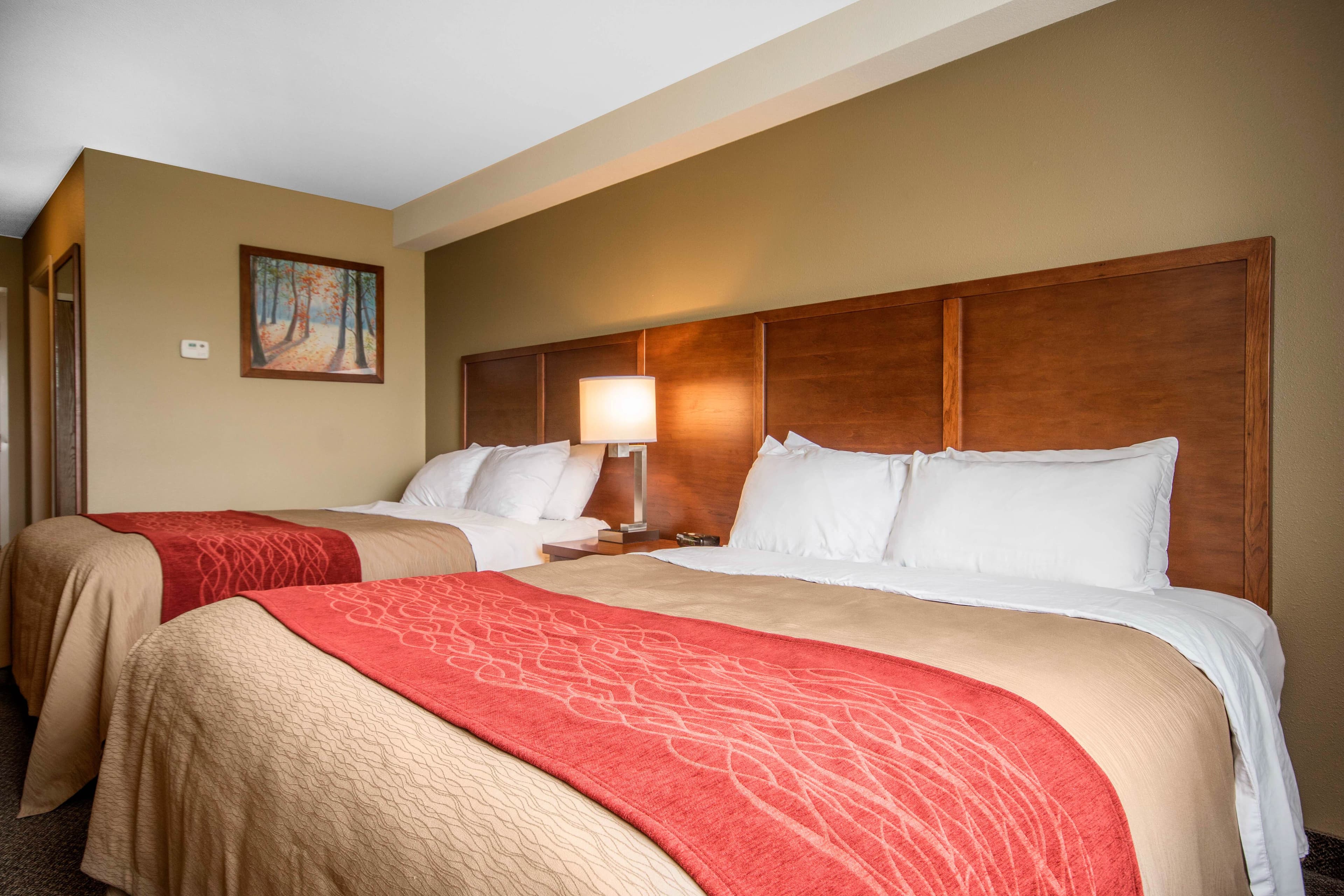Comfort Inn & Suites — 12