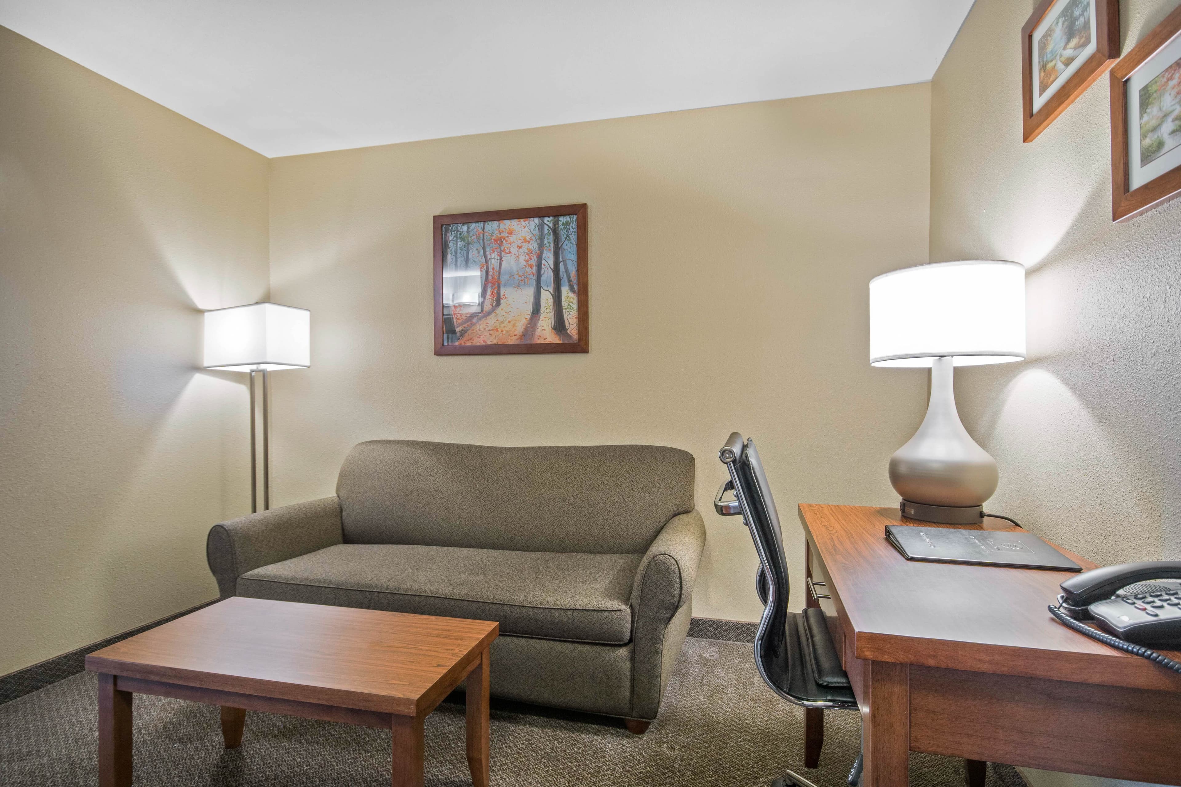 Comfort Inn & Suites — 15