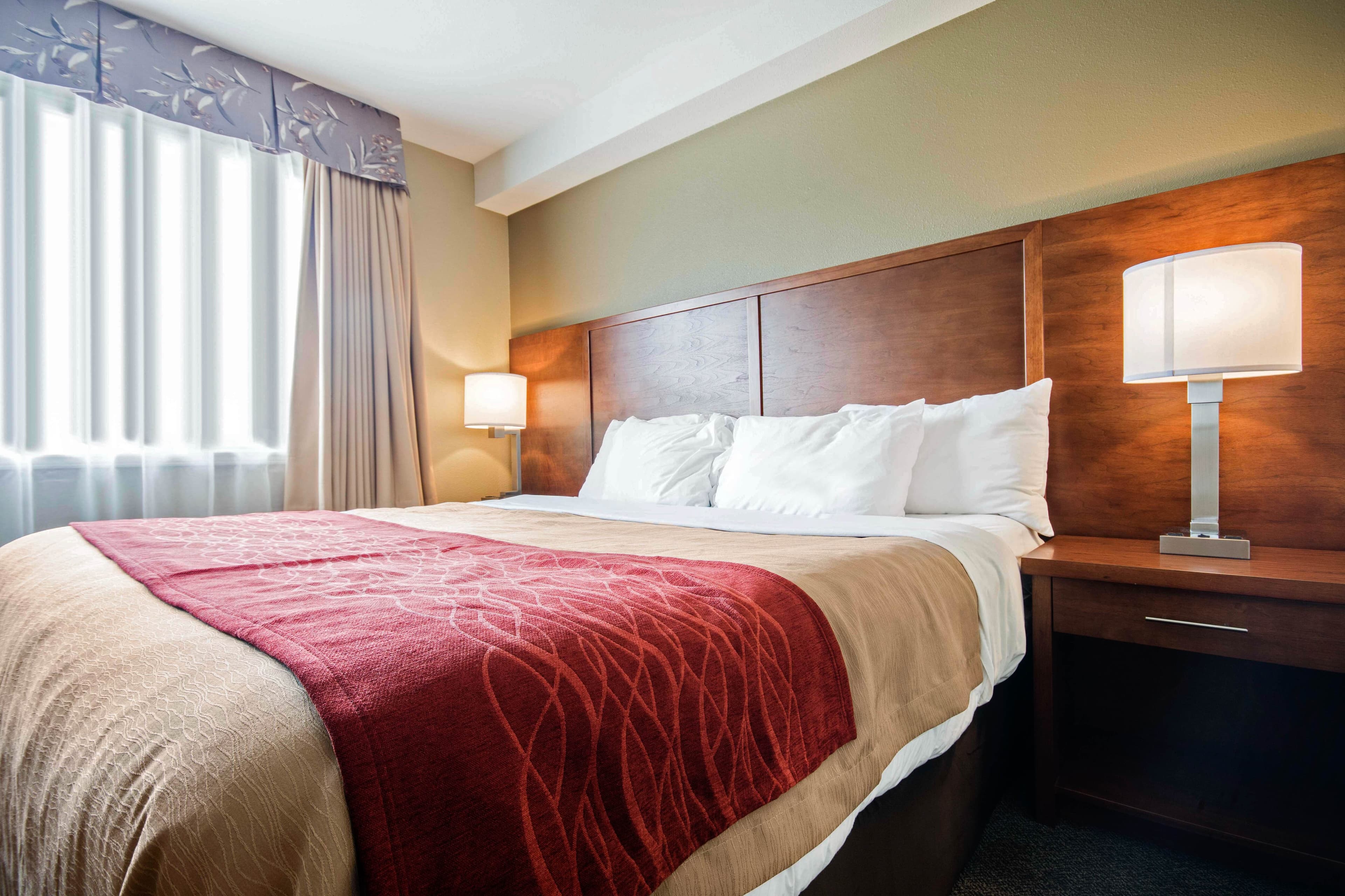 Comfort Inn & Suites — 17