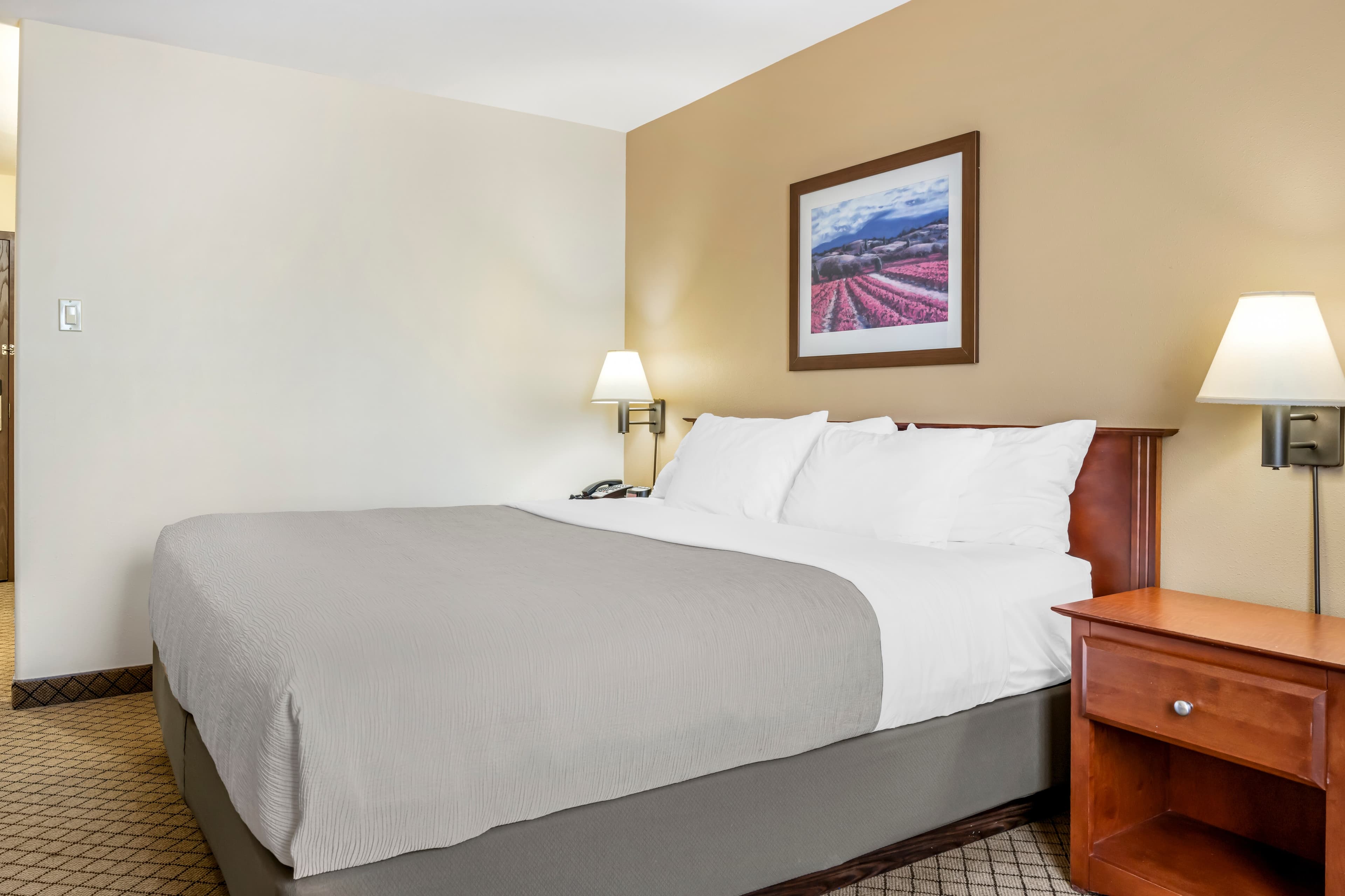 Quality Inn Airport — 14