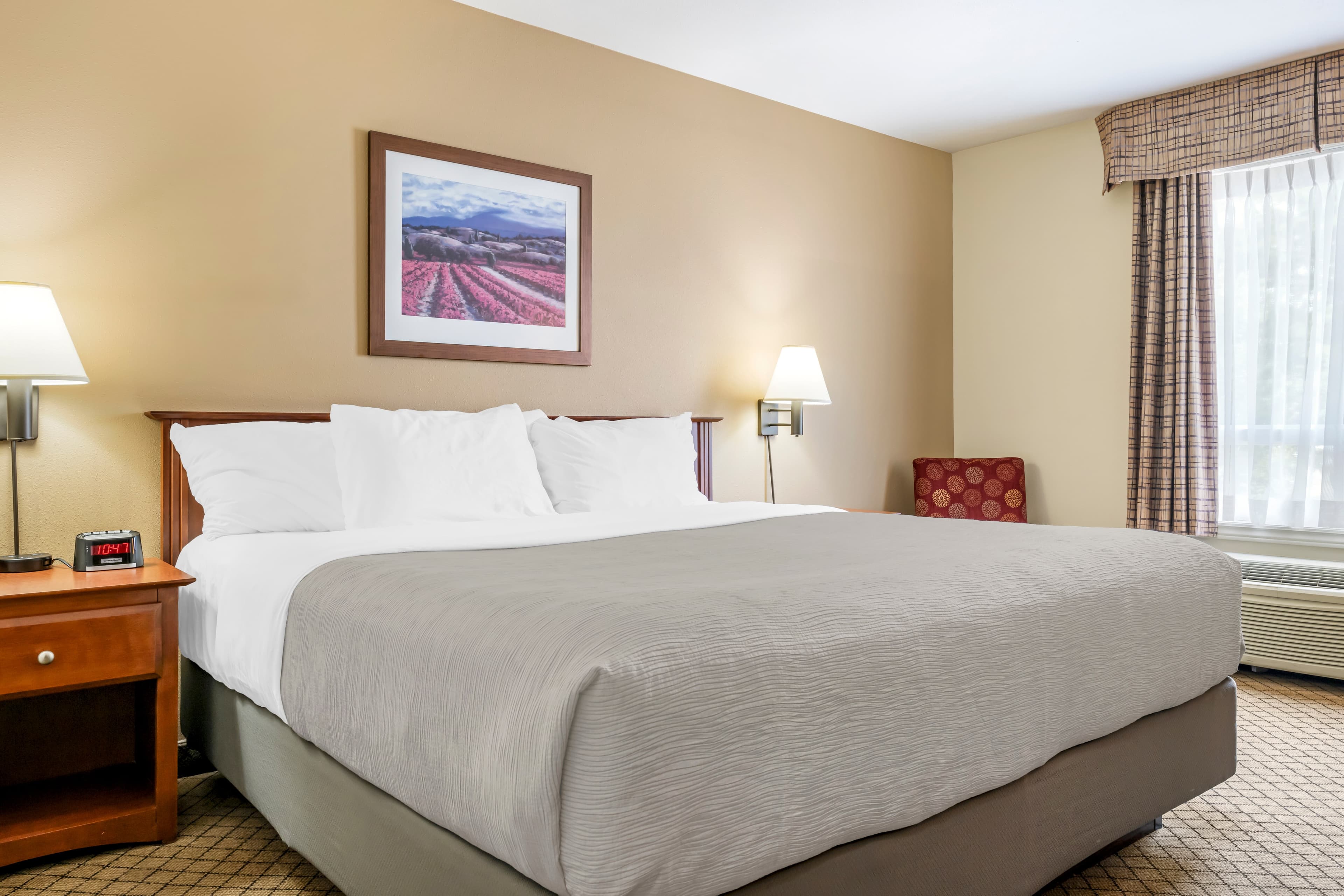 Quality Inn Airport — 15