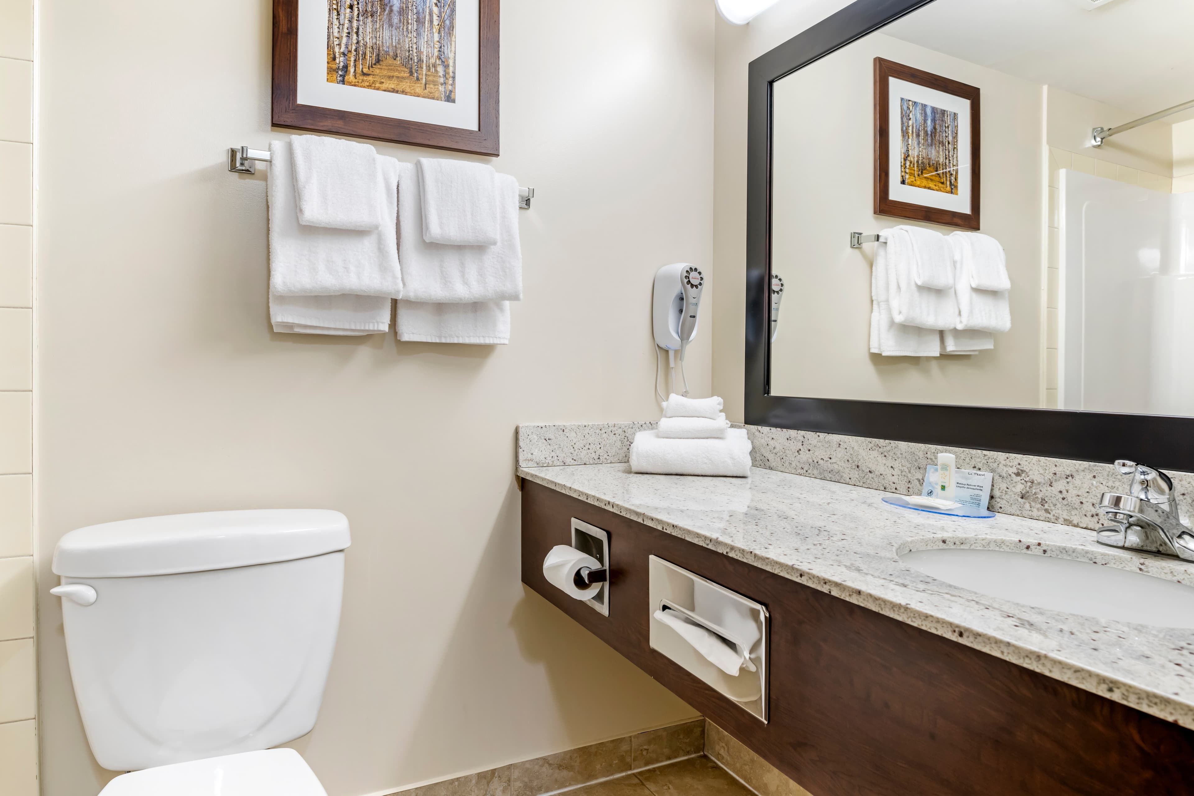 Quality Inn Airport — 17