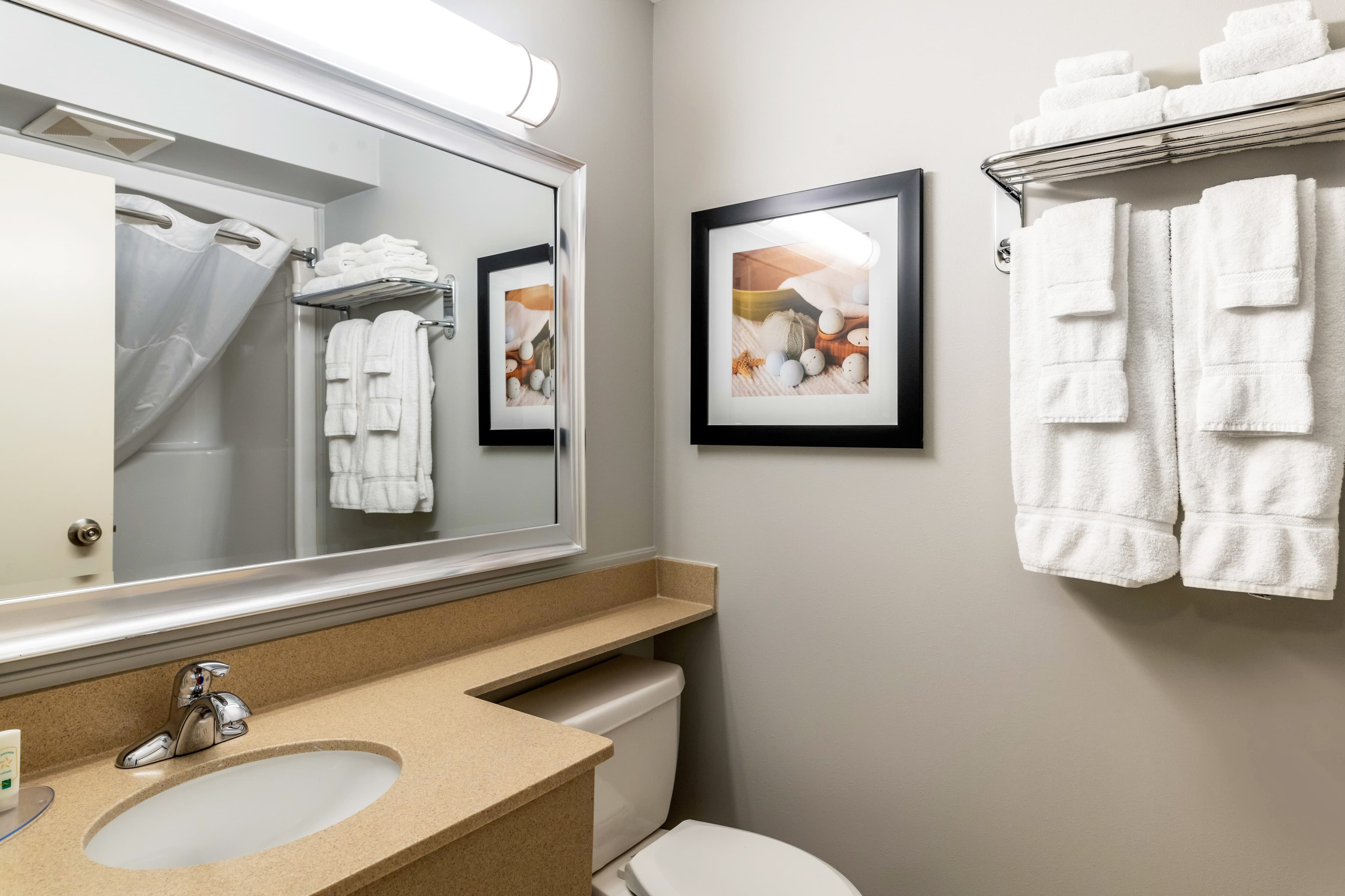 Quality Inn & Suites Amsterdam — 21