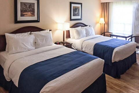 Quality Inn - Image 3
