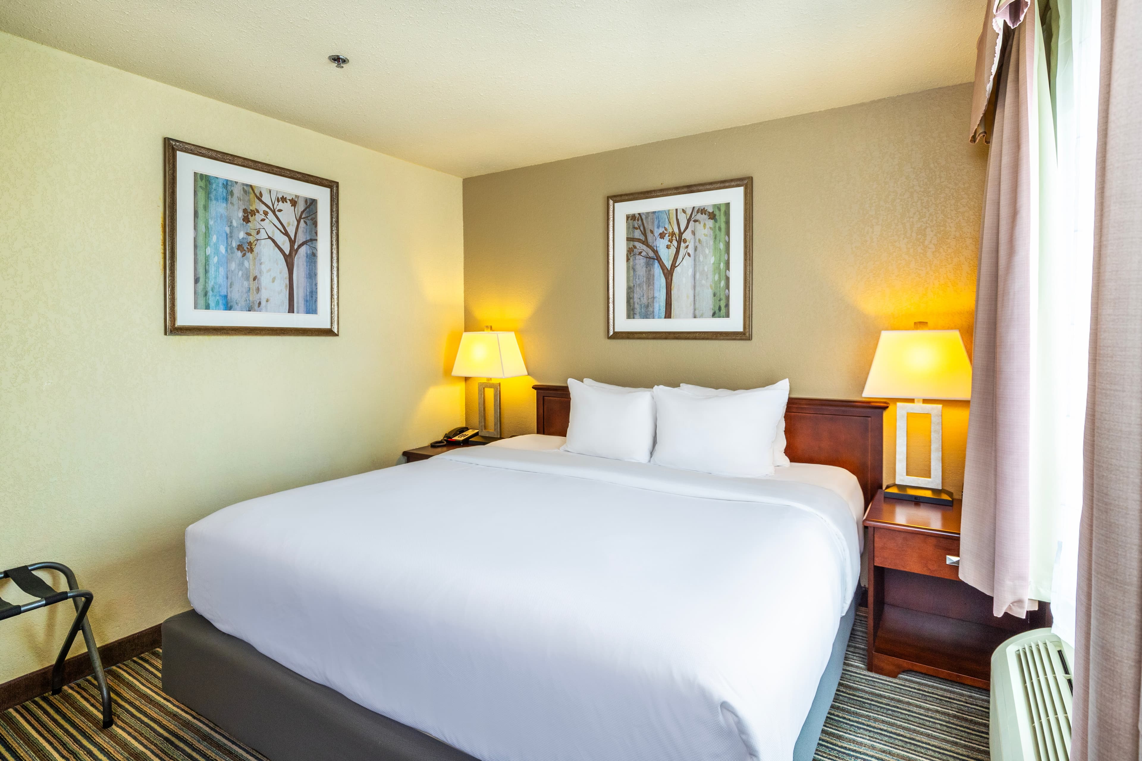 Quality Inn & Suites — 18