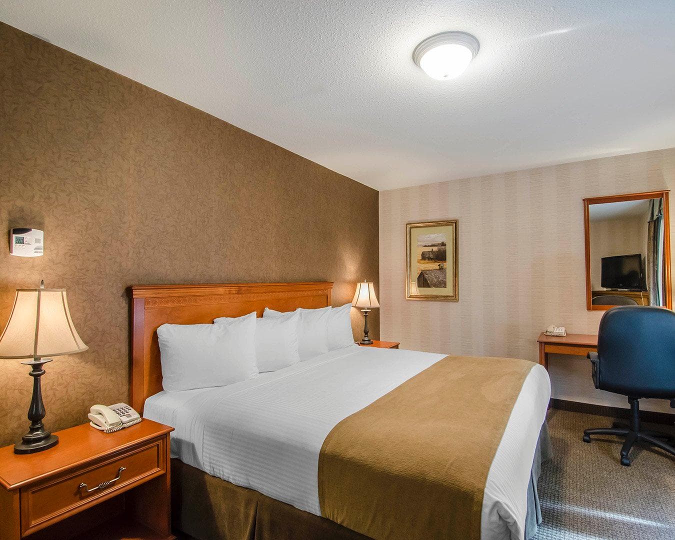 Quality Inn & Suites — 7